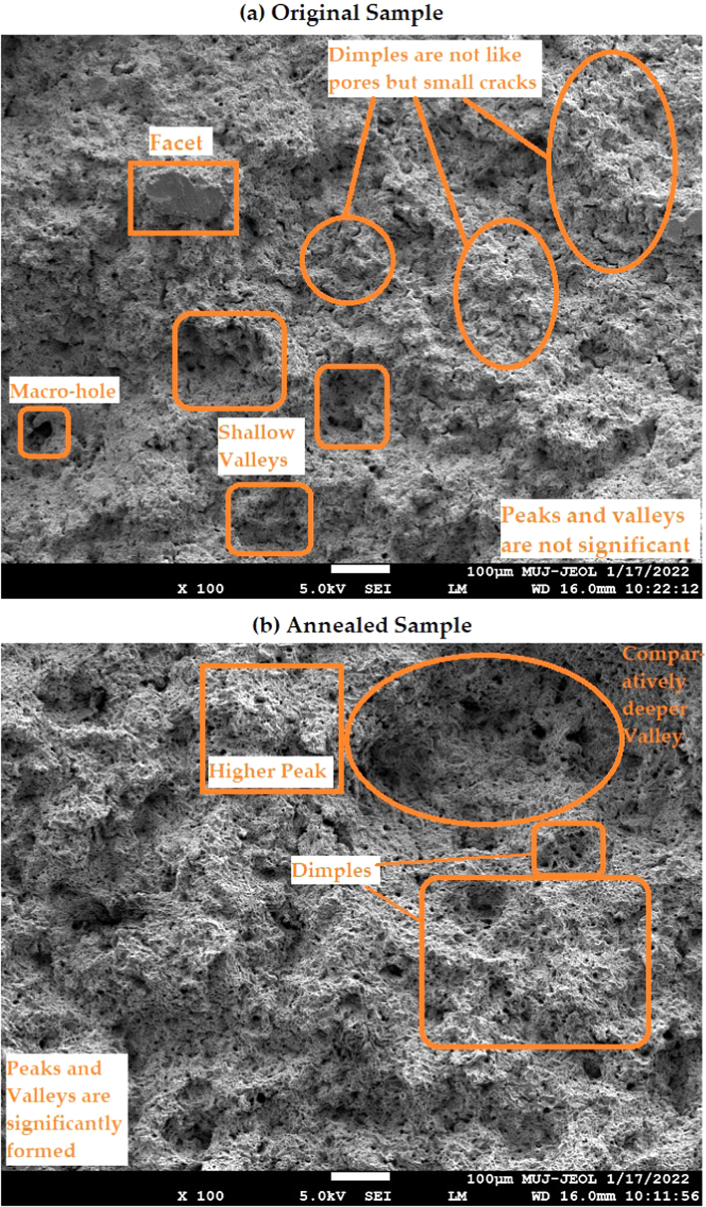 Fractography analysis into low-C steel undergone through various ...