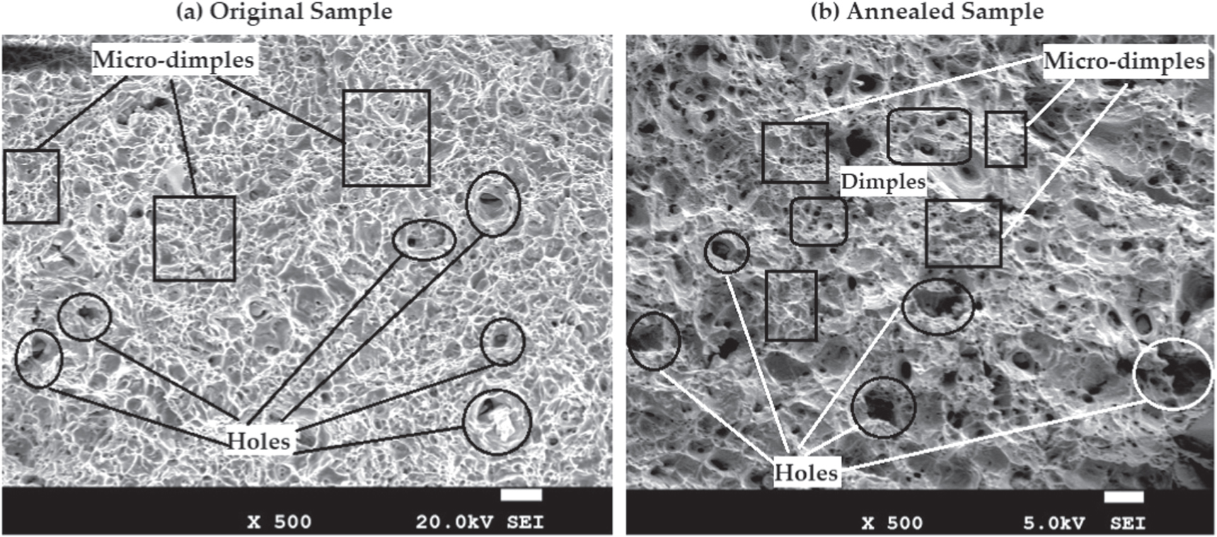 Fractography analysis into low-C steel undergone through various ...