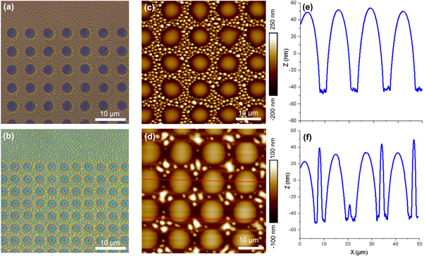 Diffusion Bald Pattern Effects of molecular diffusion length on area-selective growth of ...