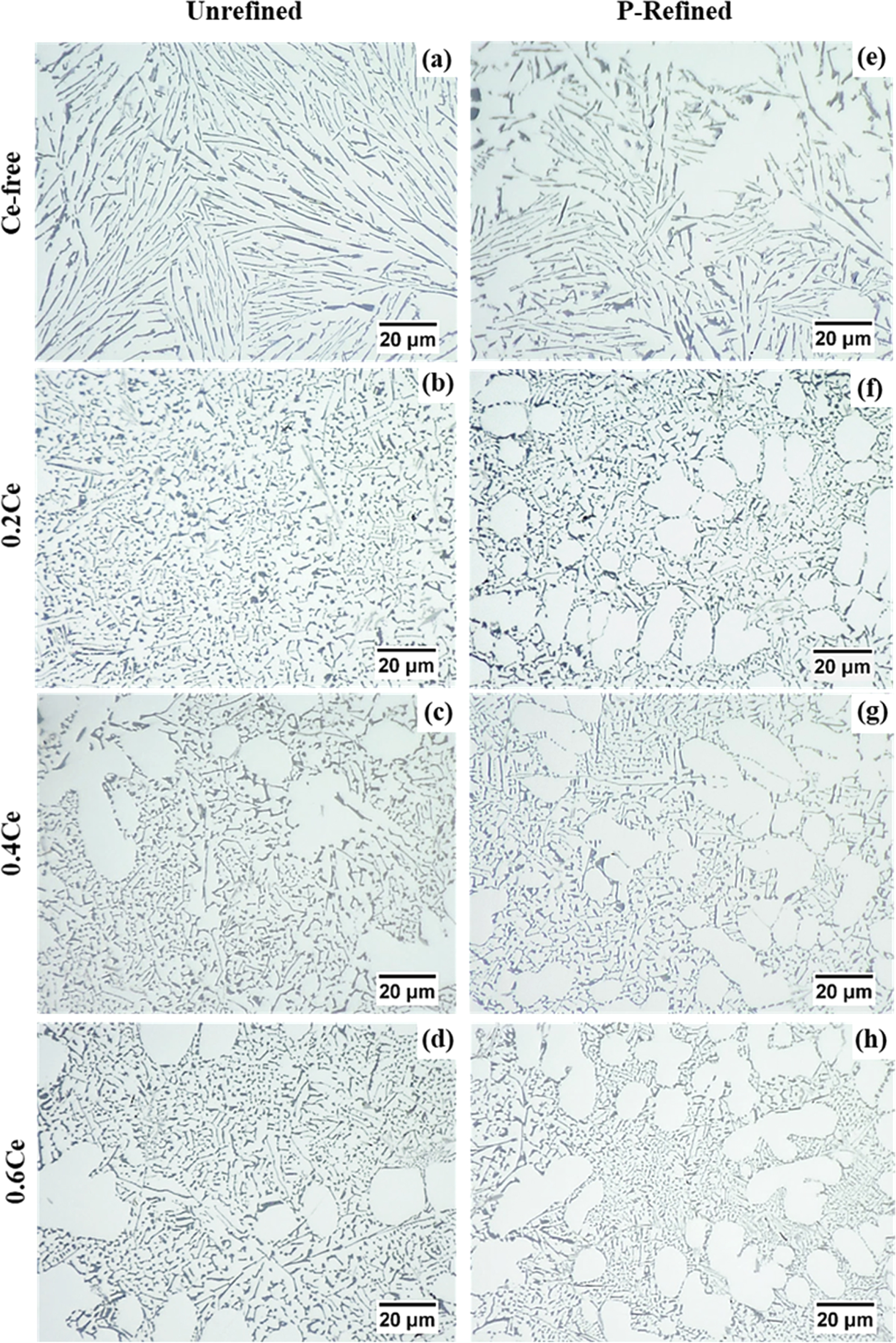 Primary Si refinement and eutectic Si modification in Al-20Si via P-Ce ...