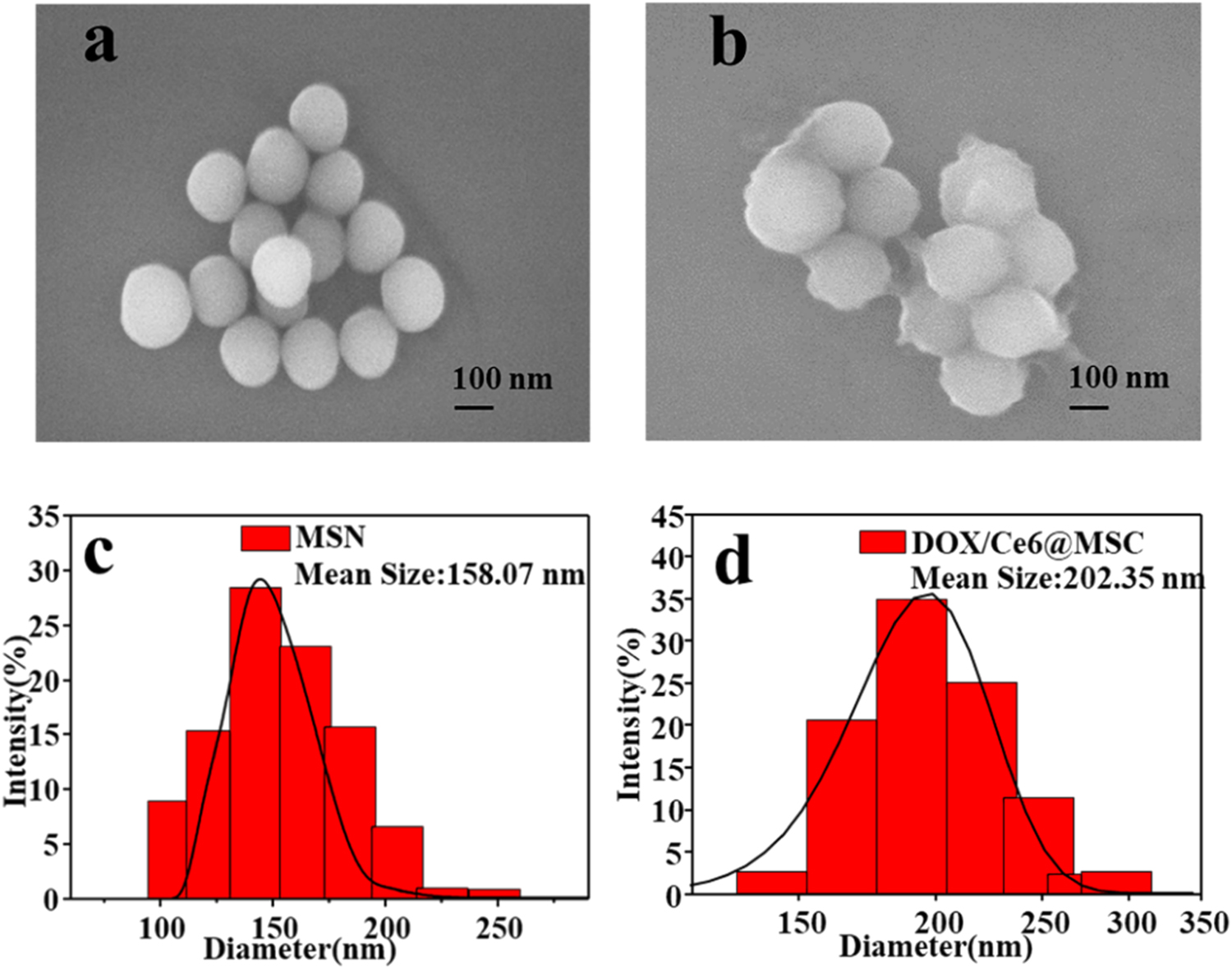 Redox-responsive mesoporous silica nanoparticles for chemo ...
