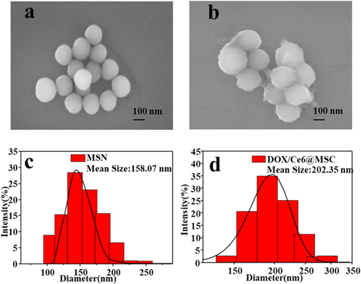 Redox-responsive mesoporous silica nanoparticles for chemo ...