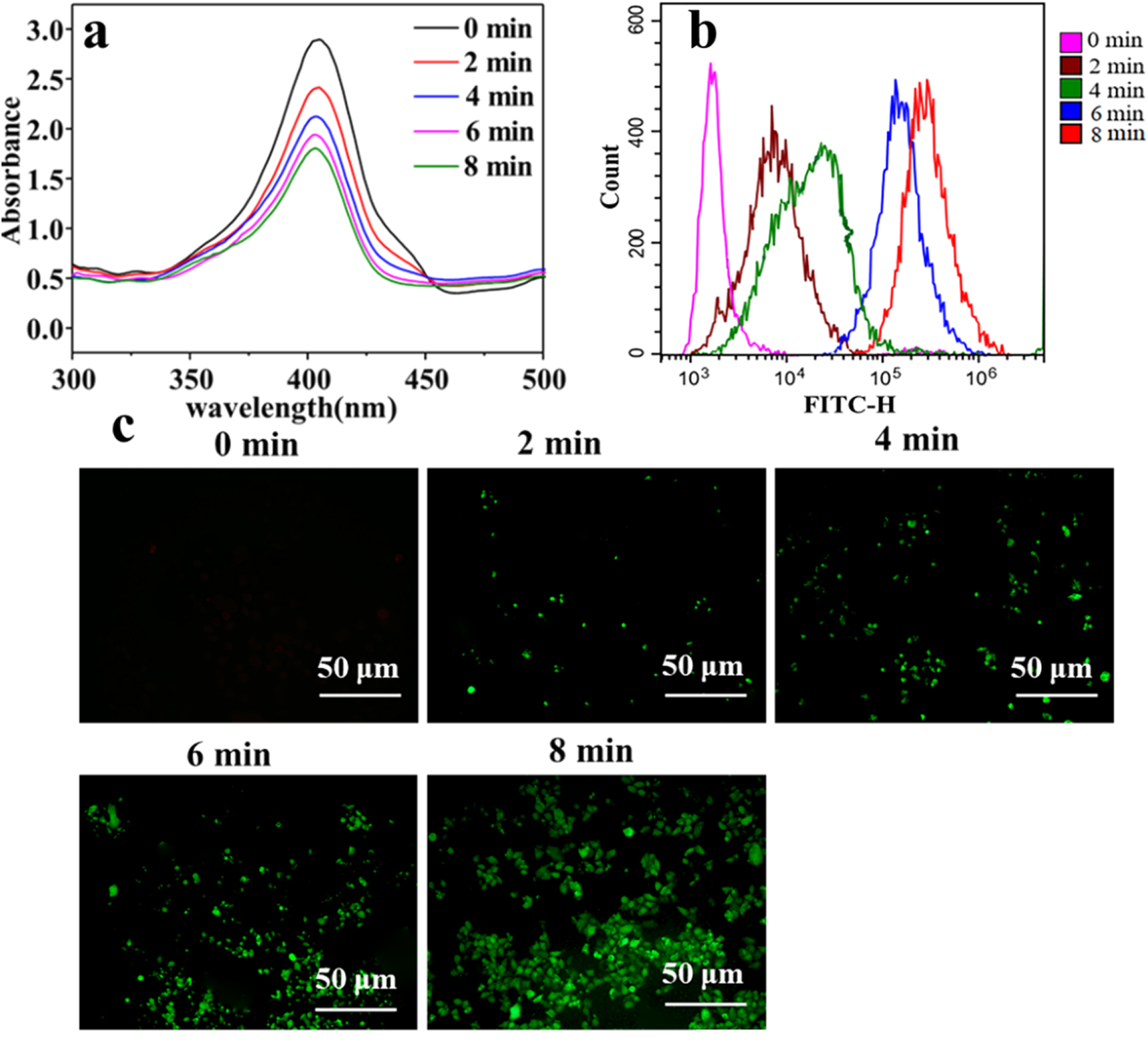 Redox-responsive mesoporous silica nanoparticles for chemo ...