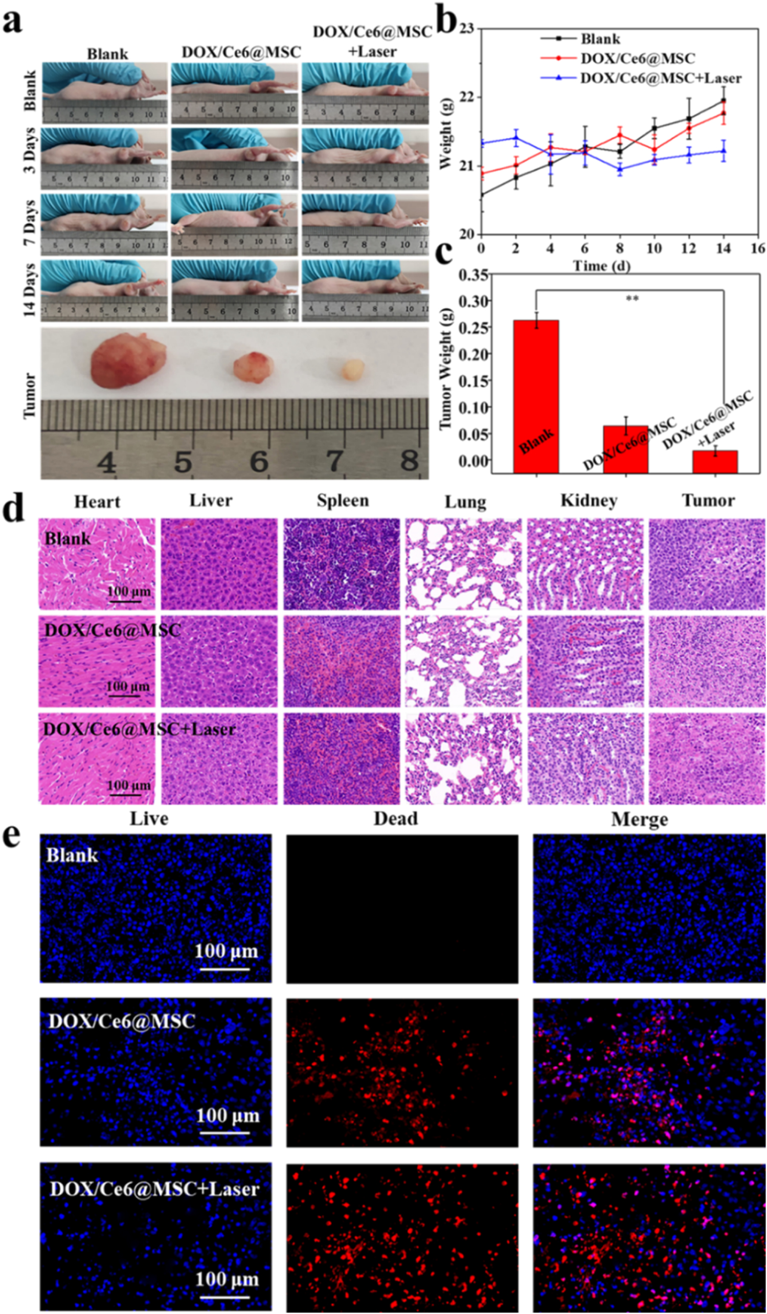 Redox-responsive mesoporous silica nanoparticles for chemo ...