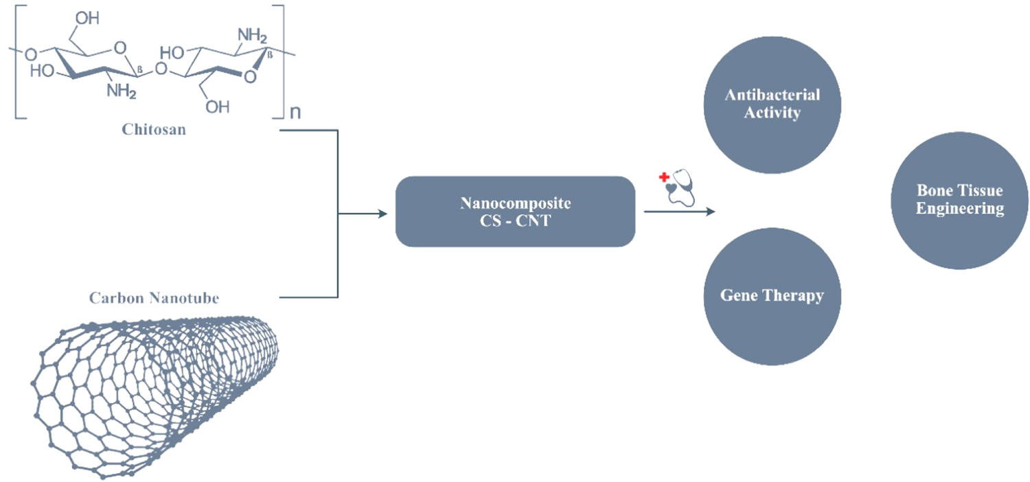 Retracted: Advances in chitosan biopolymer composite materials: from ...