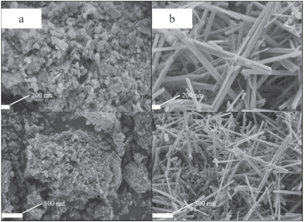 Effect of MnO2 morphology on the thermal properties and combustion ...