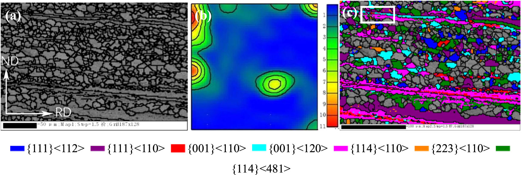Microstructure and texture evolution of ultra-thin high grade non ...