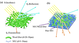 Development, application and commercialization of transparent paper ...