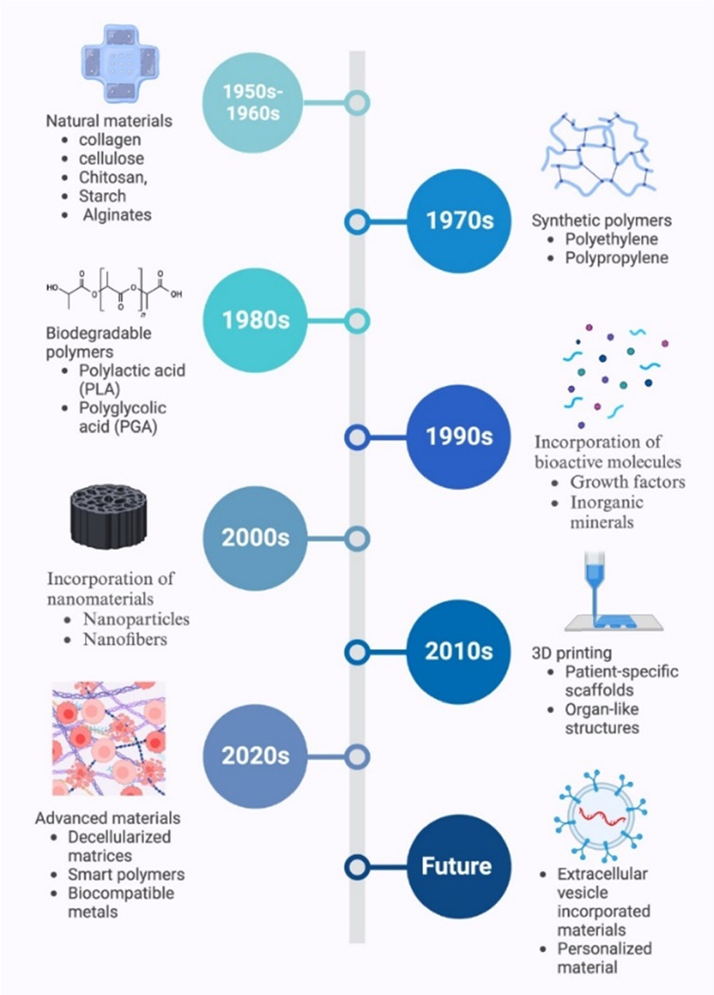 Advances in guided bone regeneration membranes: a comprehensive review ...