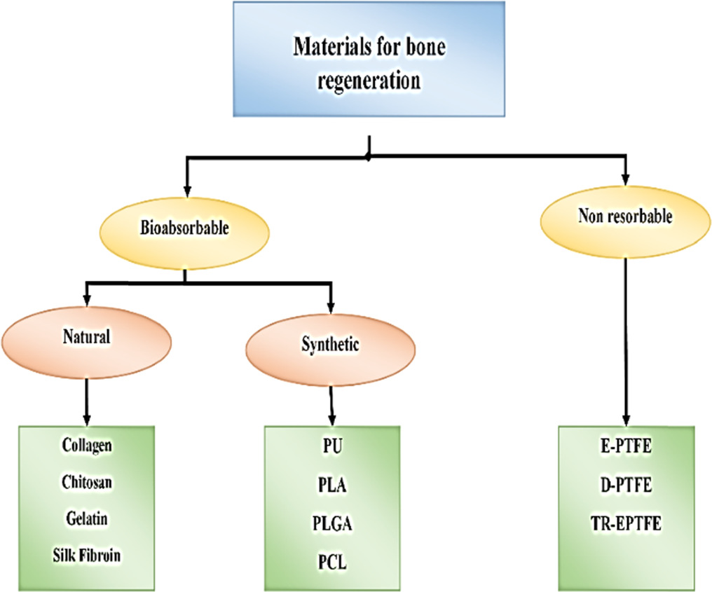 Advances in guided bone regeneration membranes: a comprehensive review ...