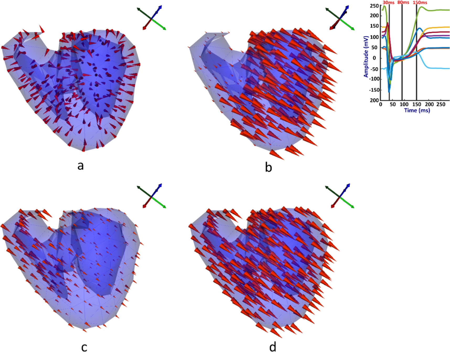 Forward problem of electrocardiography based on cardiac source vector ...
