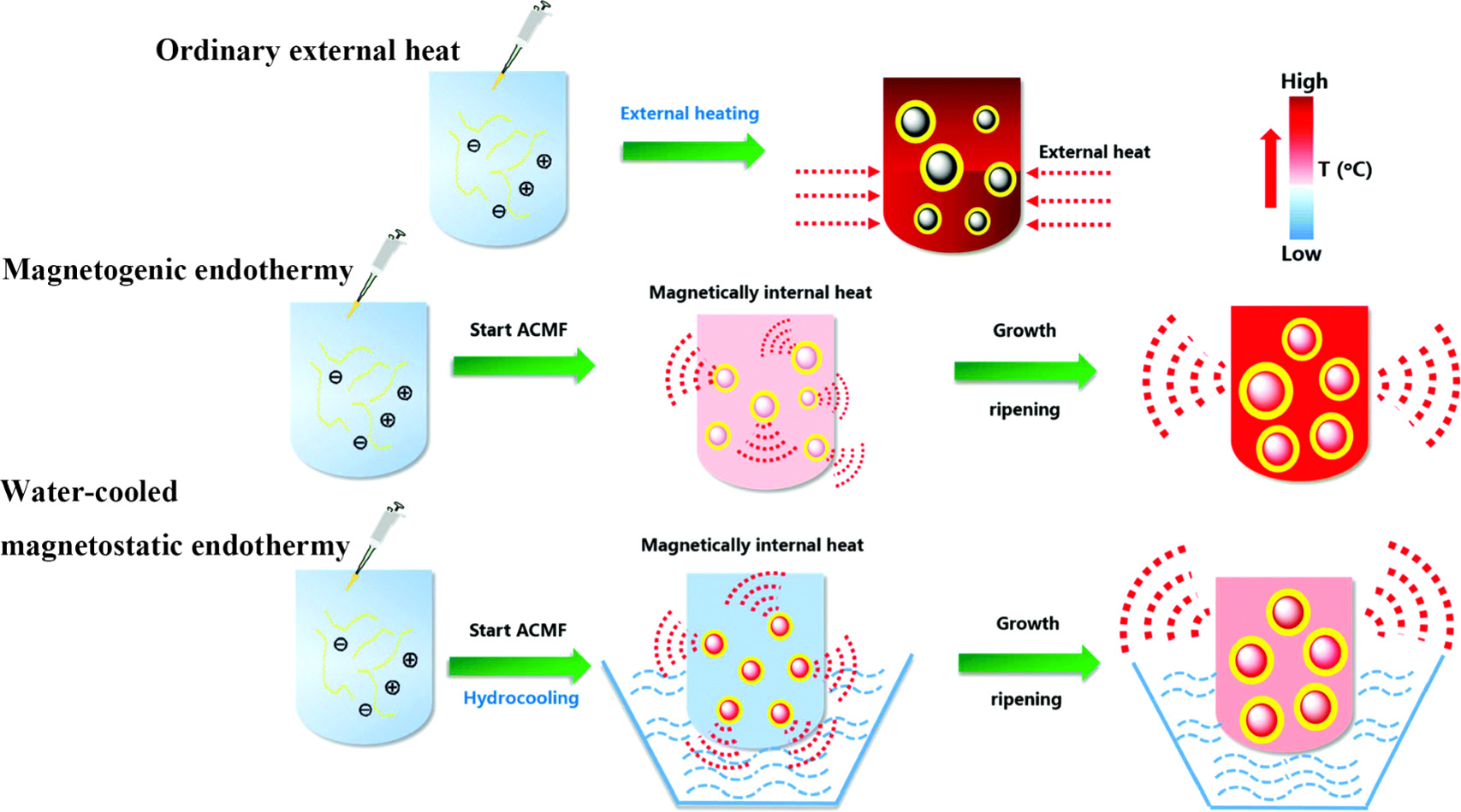 Magnetic nanomaterials mediate precise magnetic therapy - IOPscience