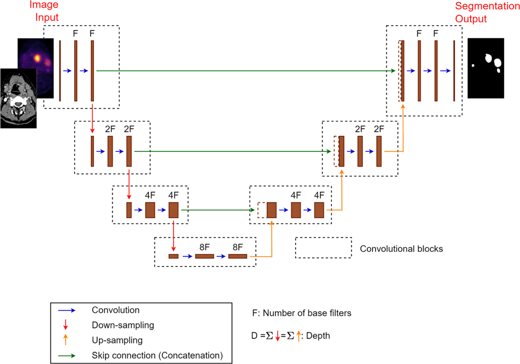 Deep learning with uncertainty estimation for automatic tumor ...