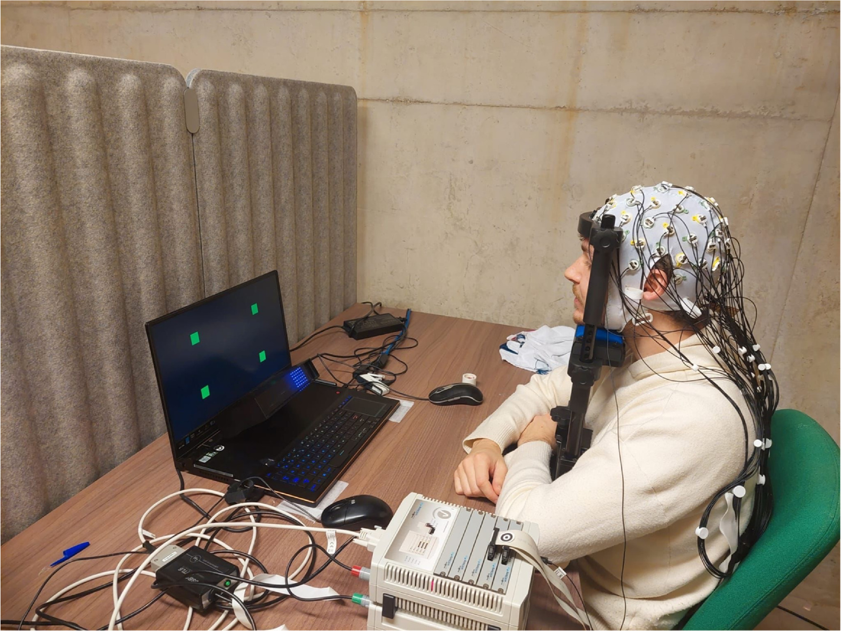 Visual Stimulus Assessing the influence of visual stimulus properties on steady-state ...