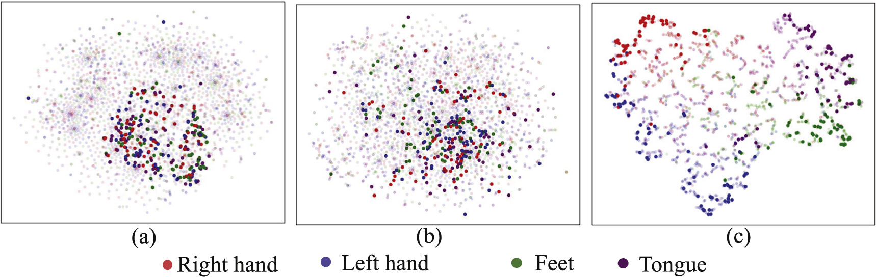 A class alignment network based on self-attention for cross-subject EEG ...