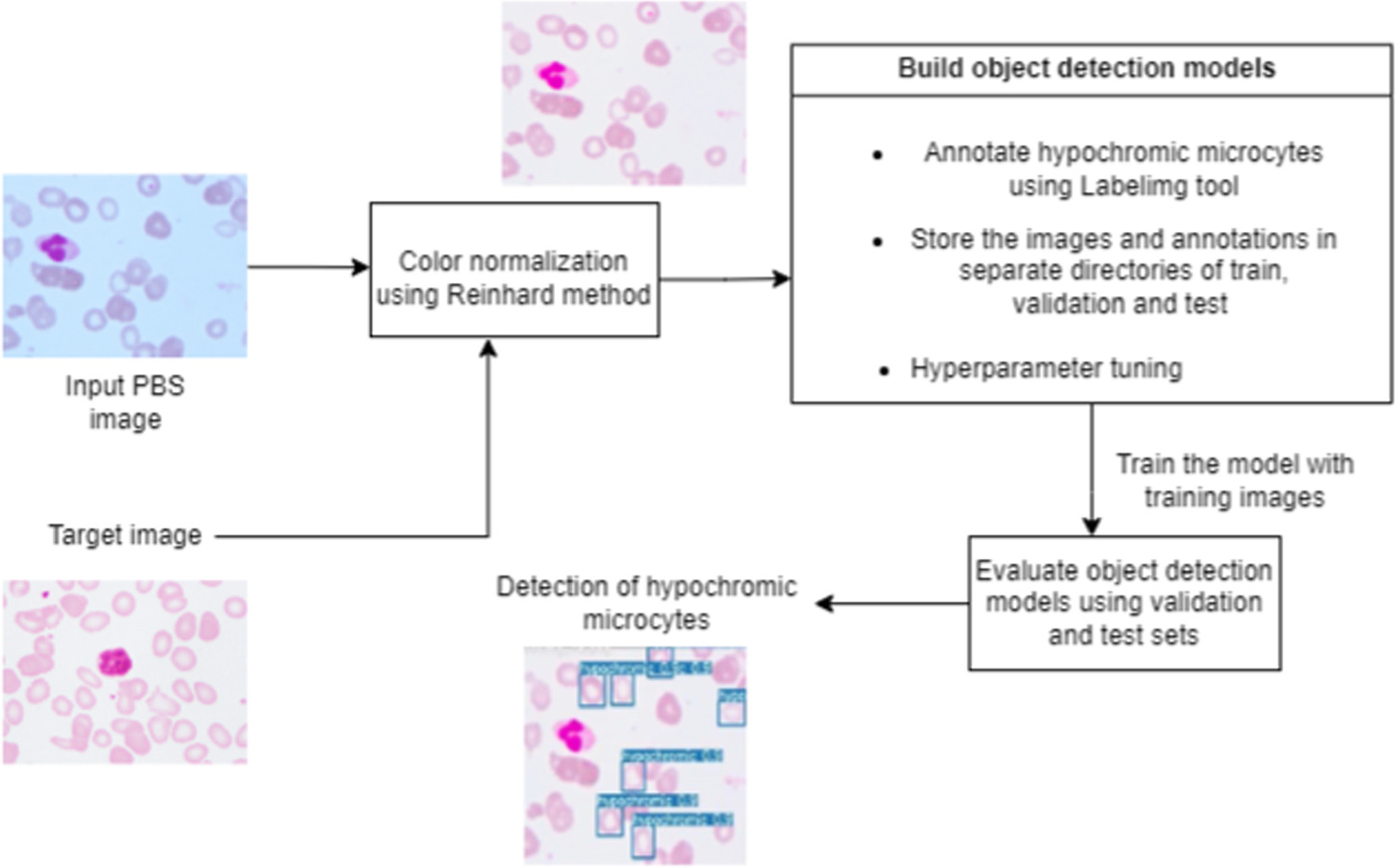 An empirical study of object detection models for the detection of iron ...
