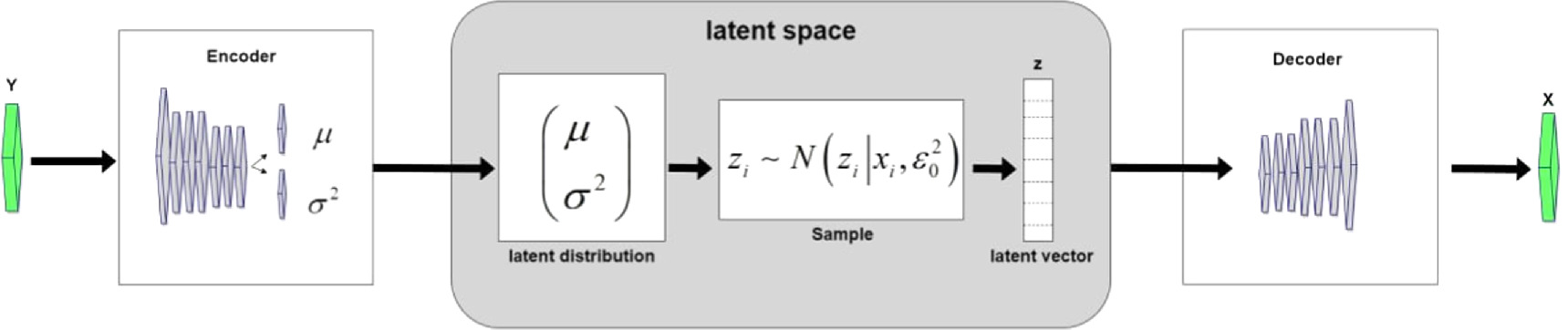 A variational network for biomedical images denoising using bayesian ...