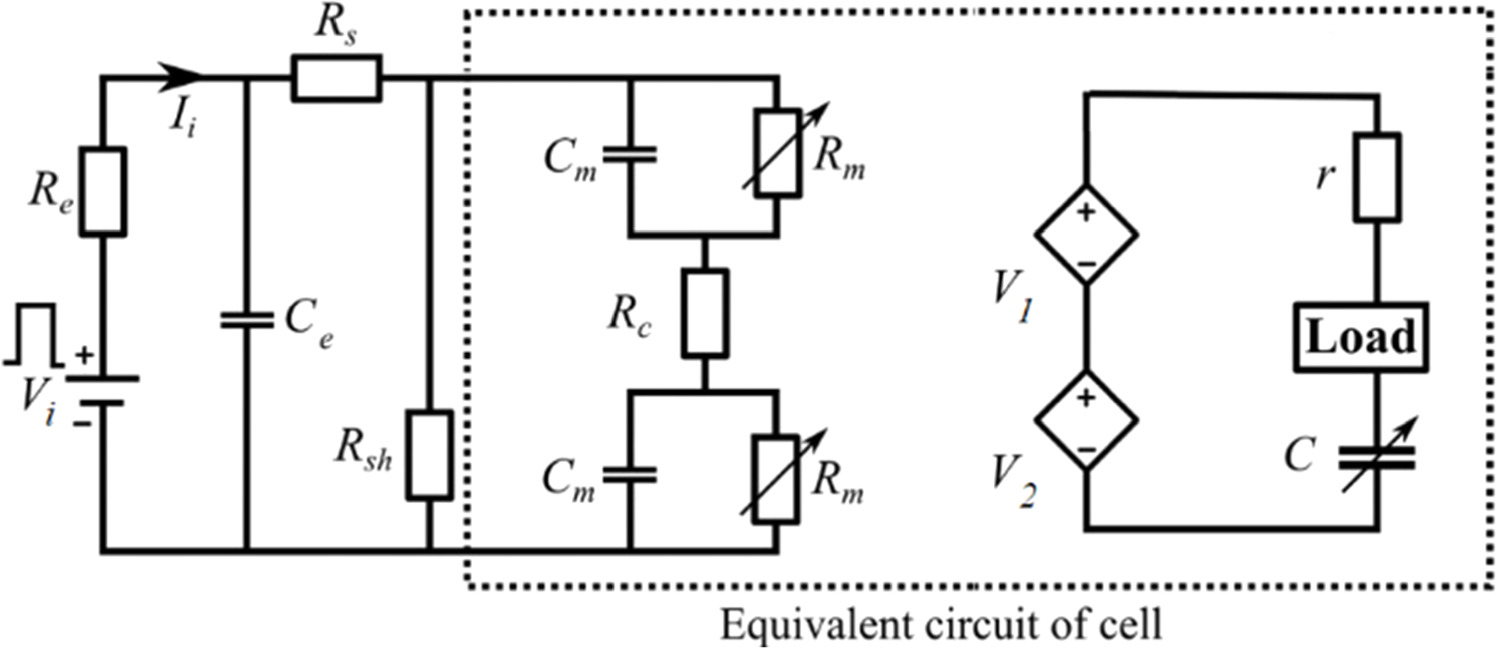 Biological cell response to electric field: a review of equivalent ...