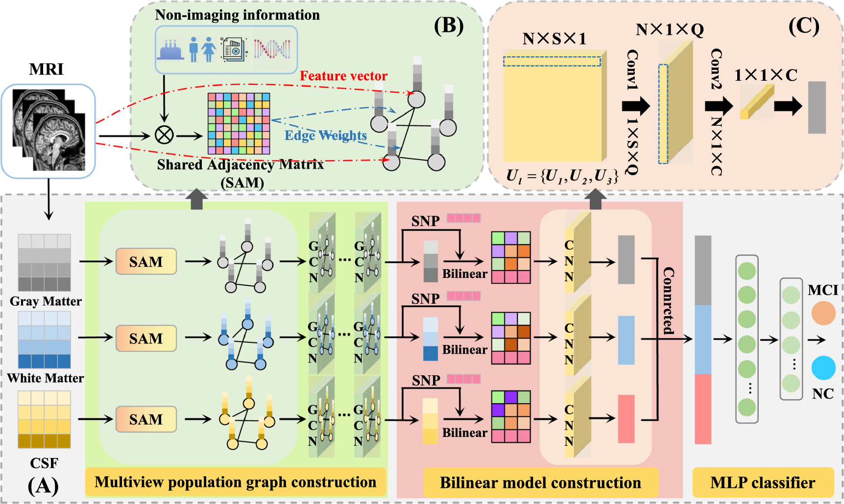 Multimodal multiview bilinear graph convolutional network for mild ...