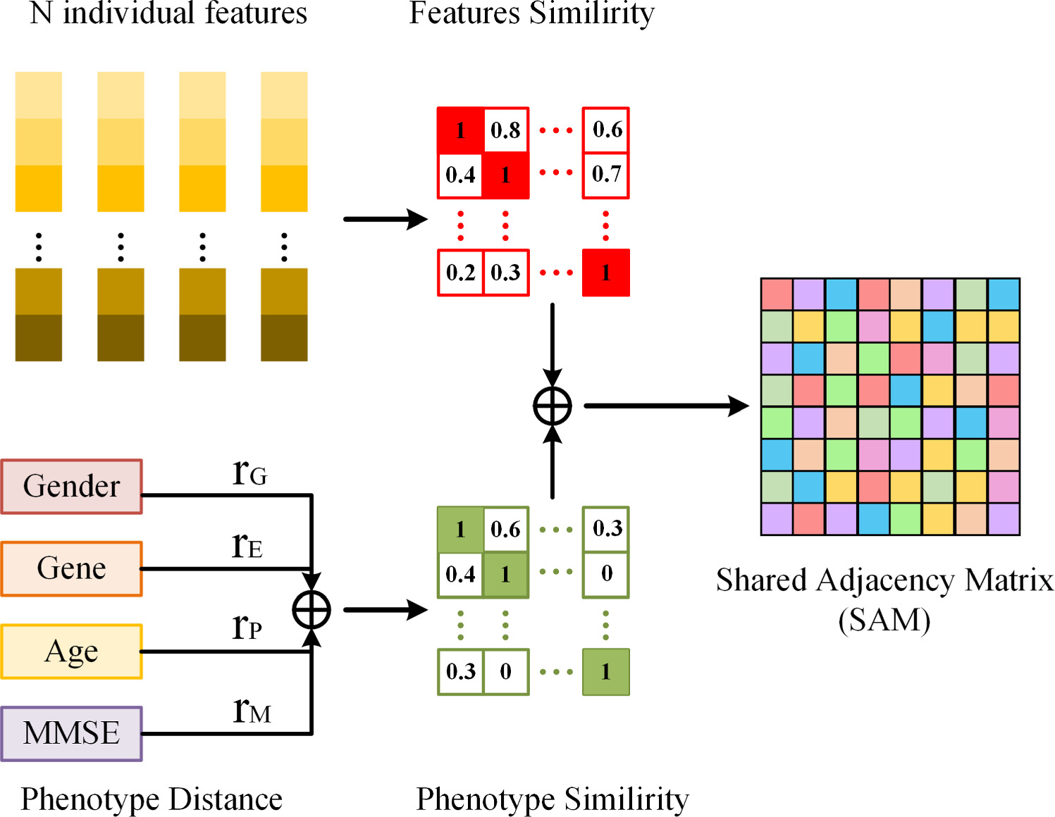 Multimodal multiview bilinear graph convolutional network for mild ...