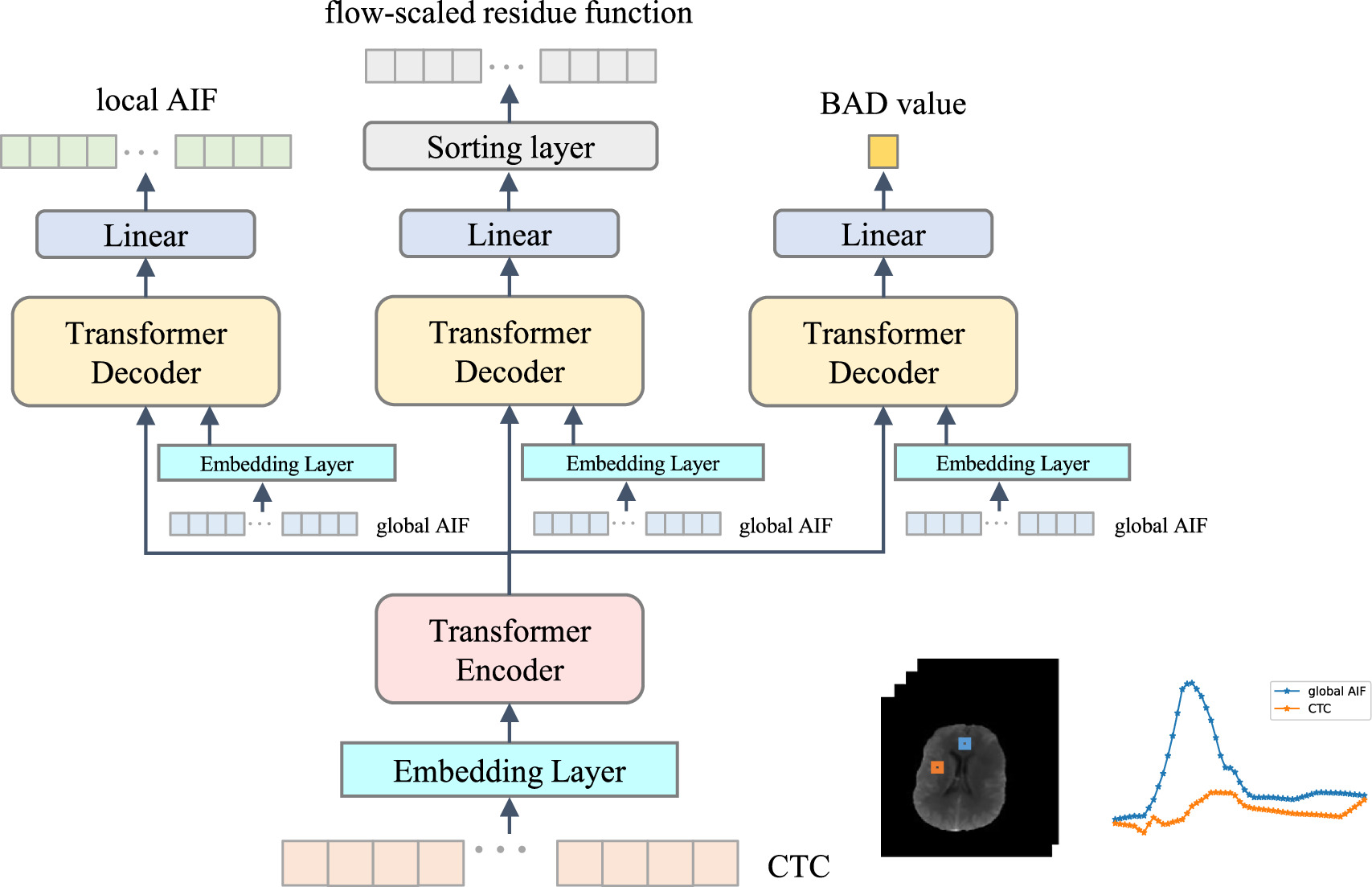 A deep learning approach for quantifying CT perfusion parameters in ...