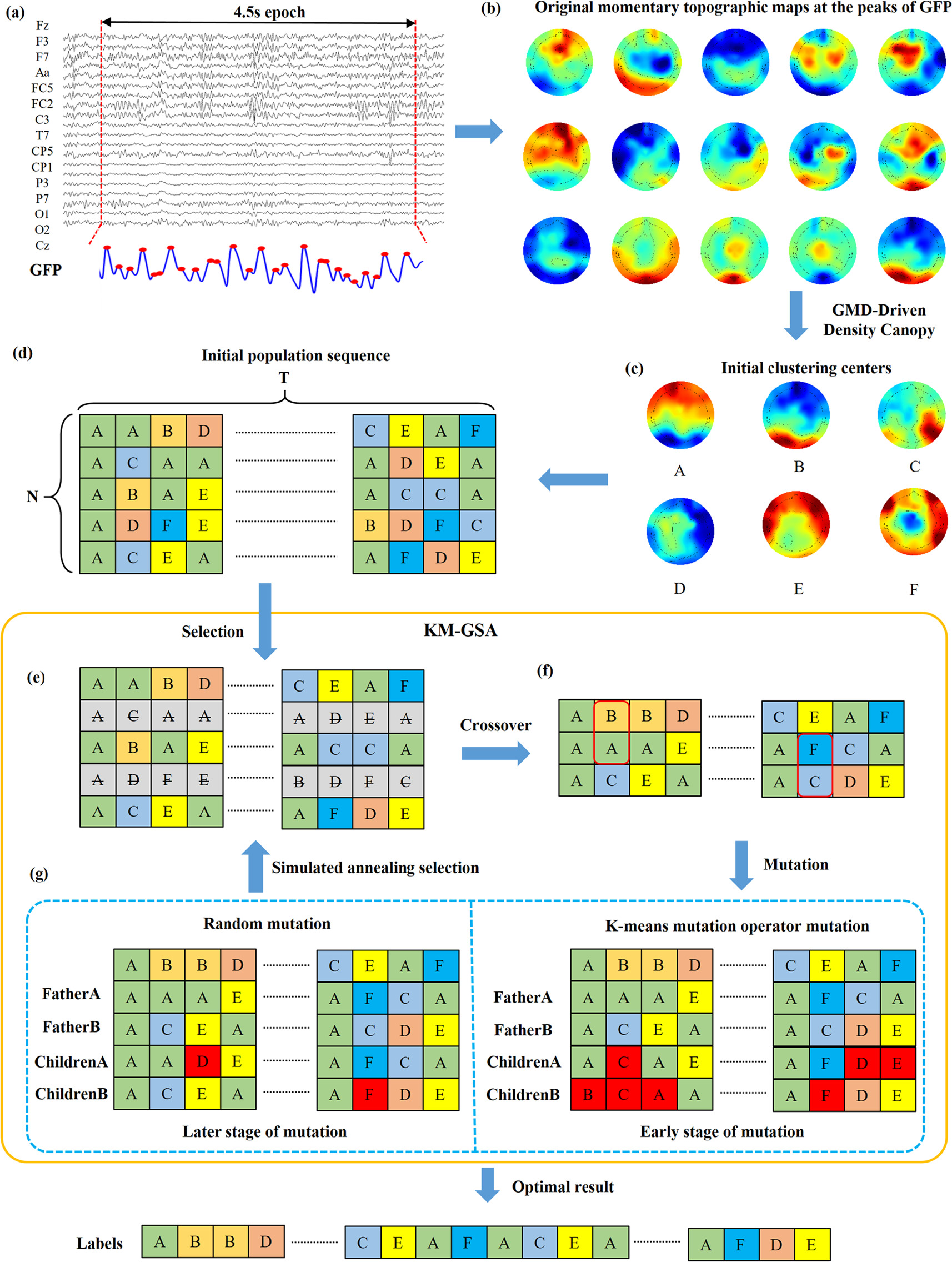 An enhanced microstate clustering algorithm based on canopy, K-means ...
