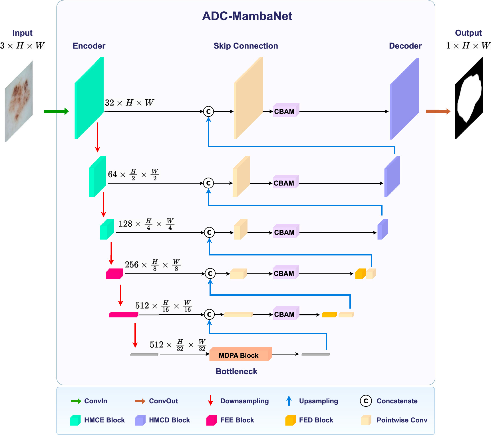 ADC-MambaNet: a lightweight U-shaped architecture with mamba and multi ...