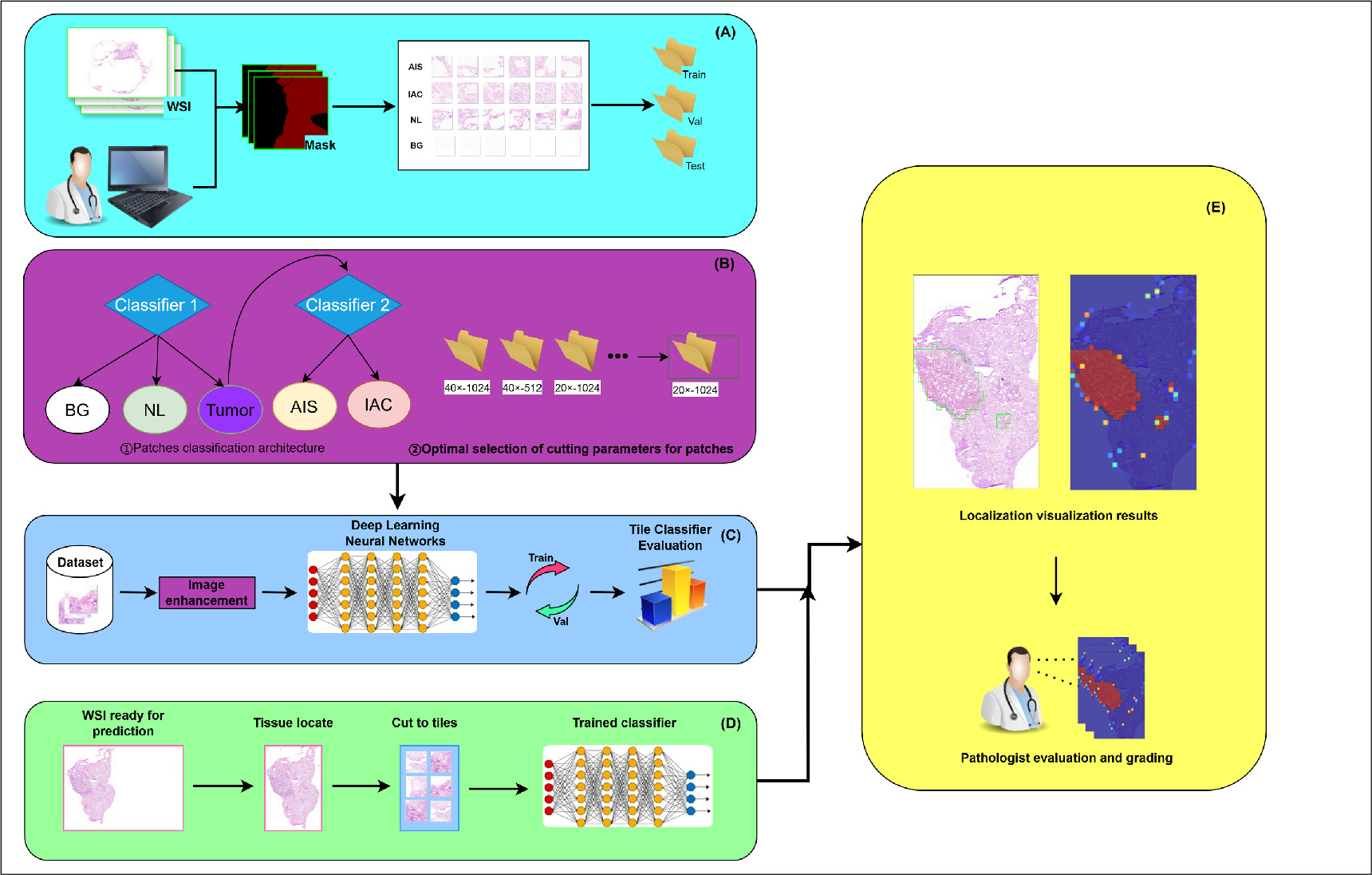 Fast and accurate lung cancer subtype classication and localization ...
