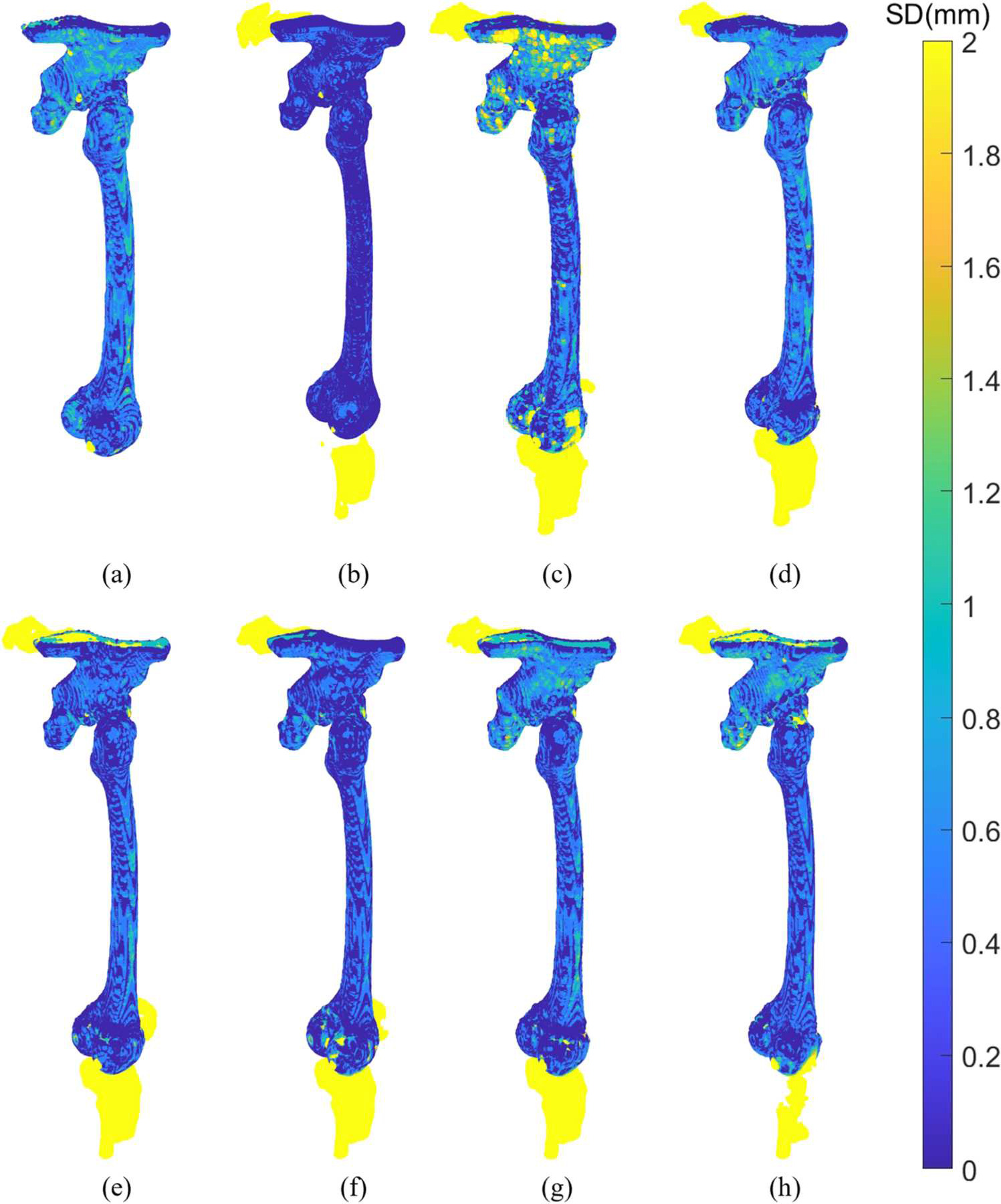 A 3D multi-task network for the automatic segmentation of CT images ...