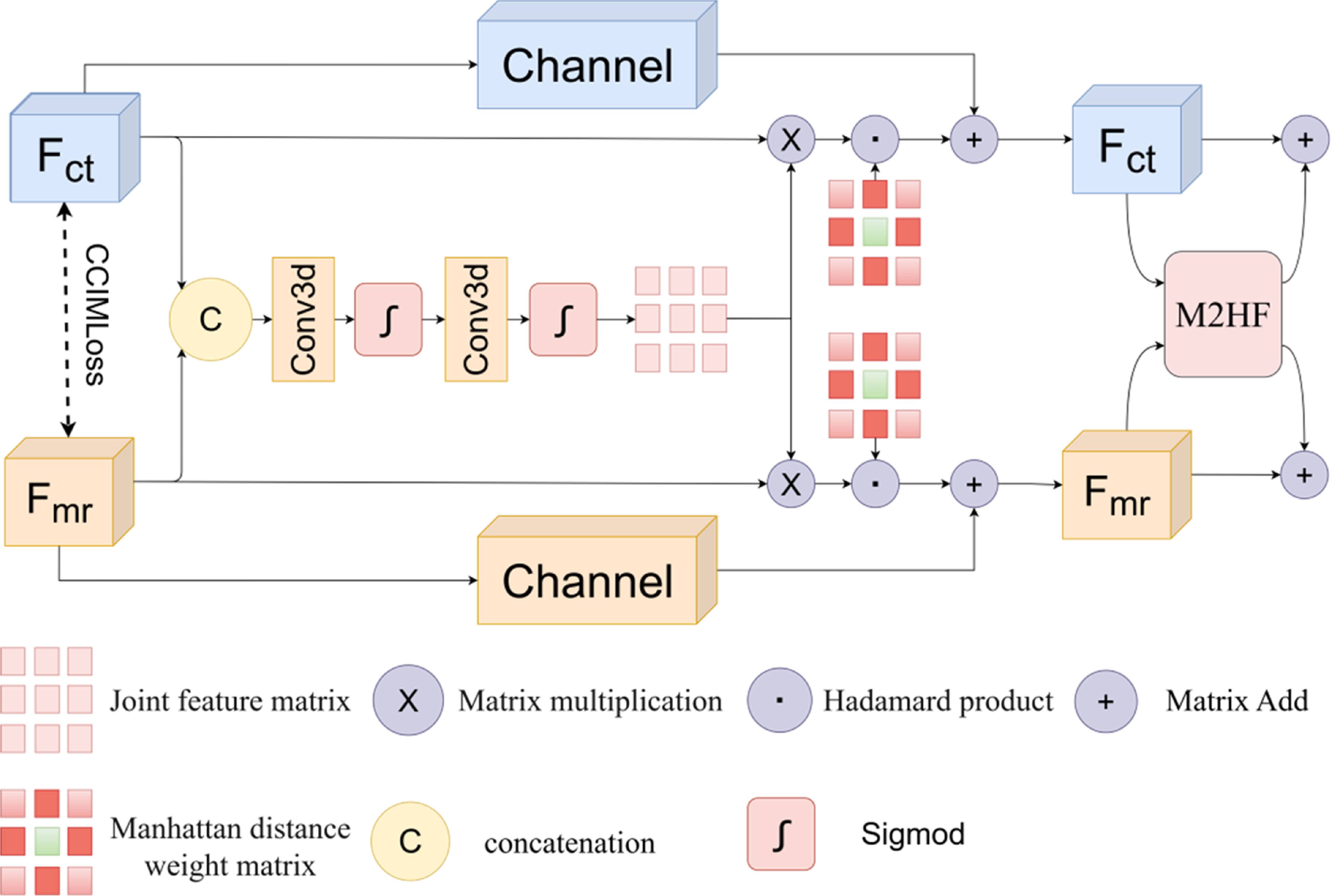 Multi-modal semi-supervised medical image segmentation via spatial ...