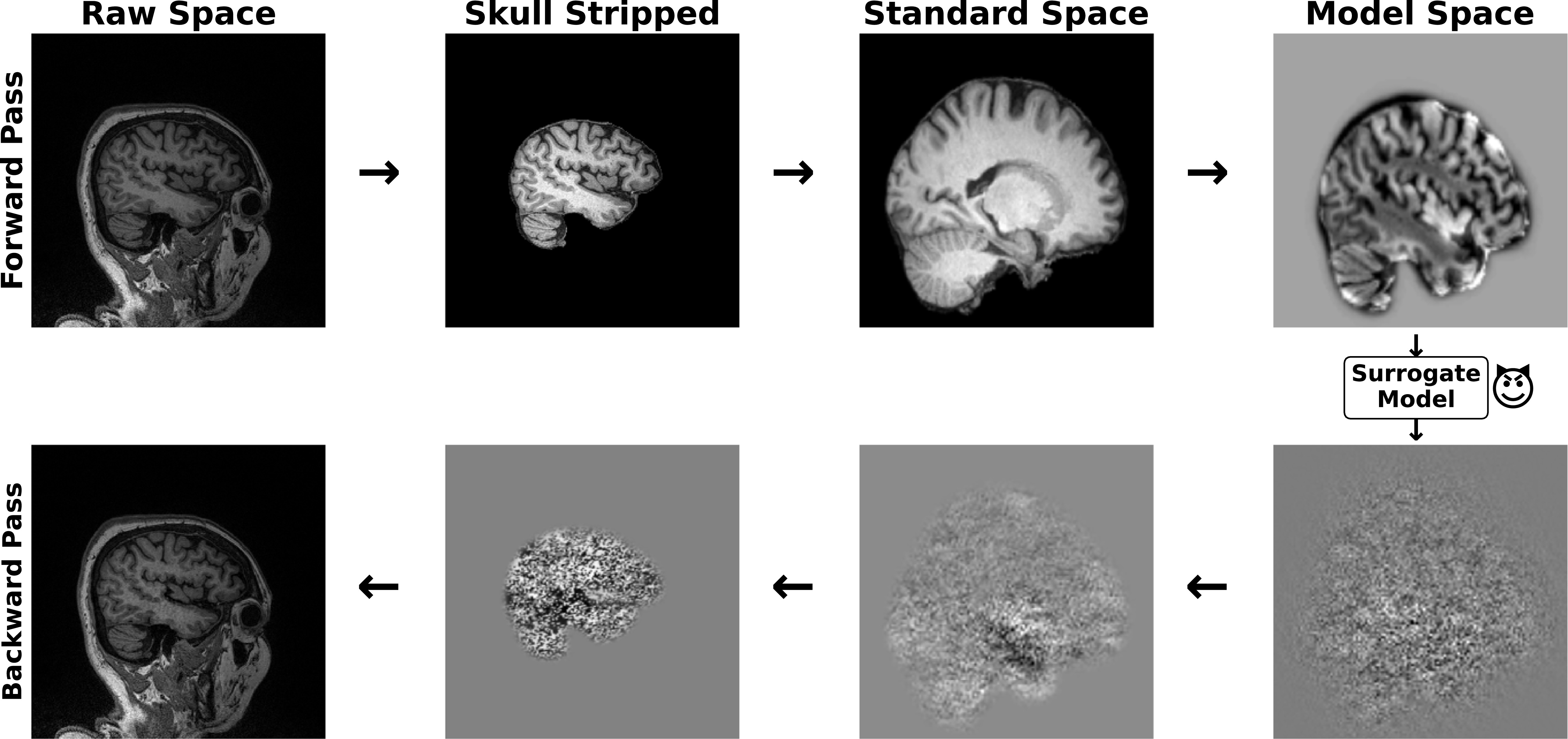 Universal black-box attacks against a third-party Alzheimer’s ...