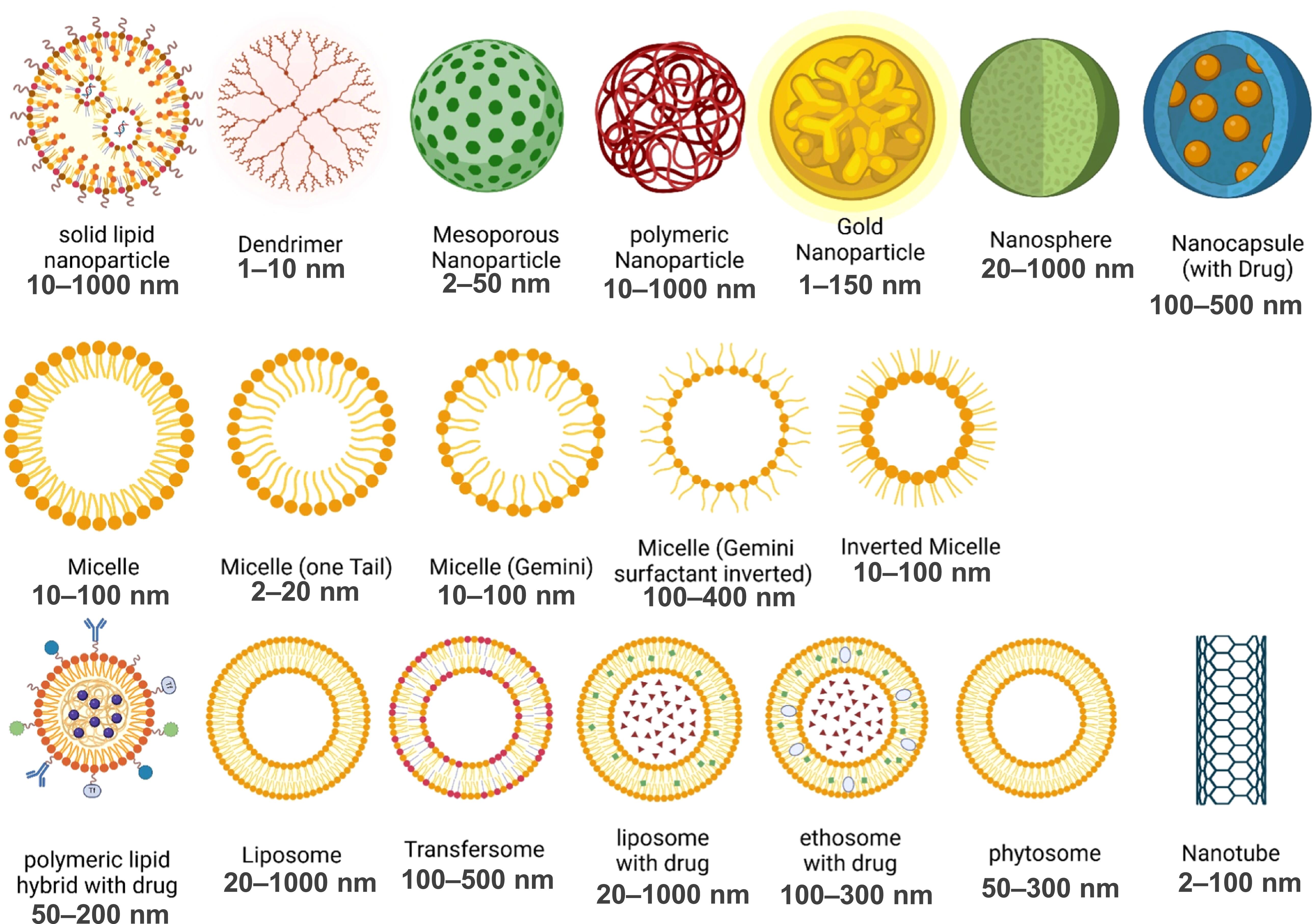 Emerging roles and mechanisms of nanoparticles in cancer treatment ...