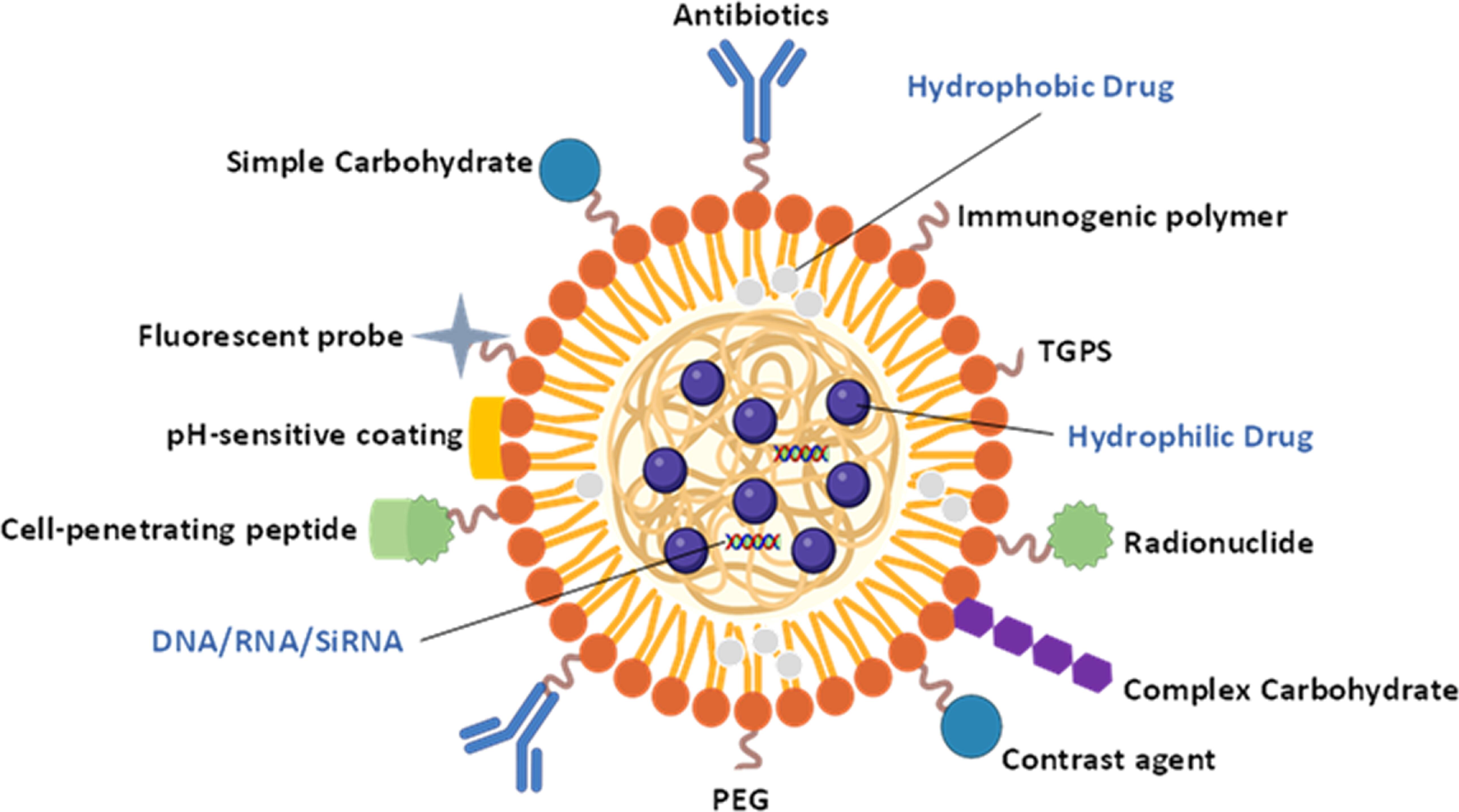 Emerging roles and mechanisms of nanoparticles in cancer treatment ...