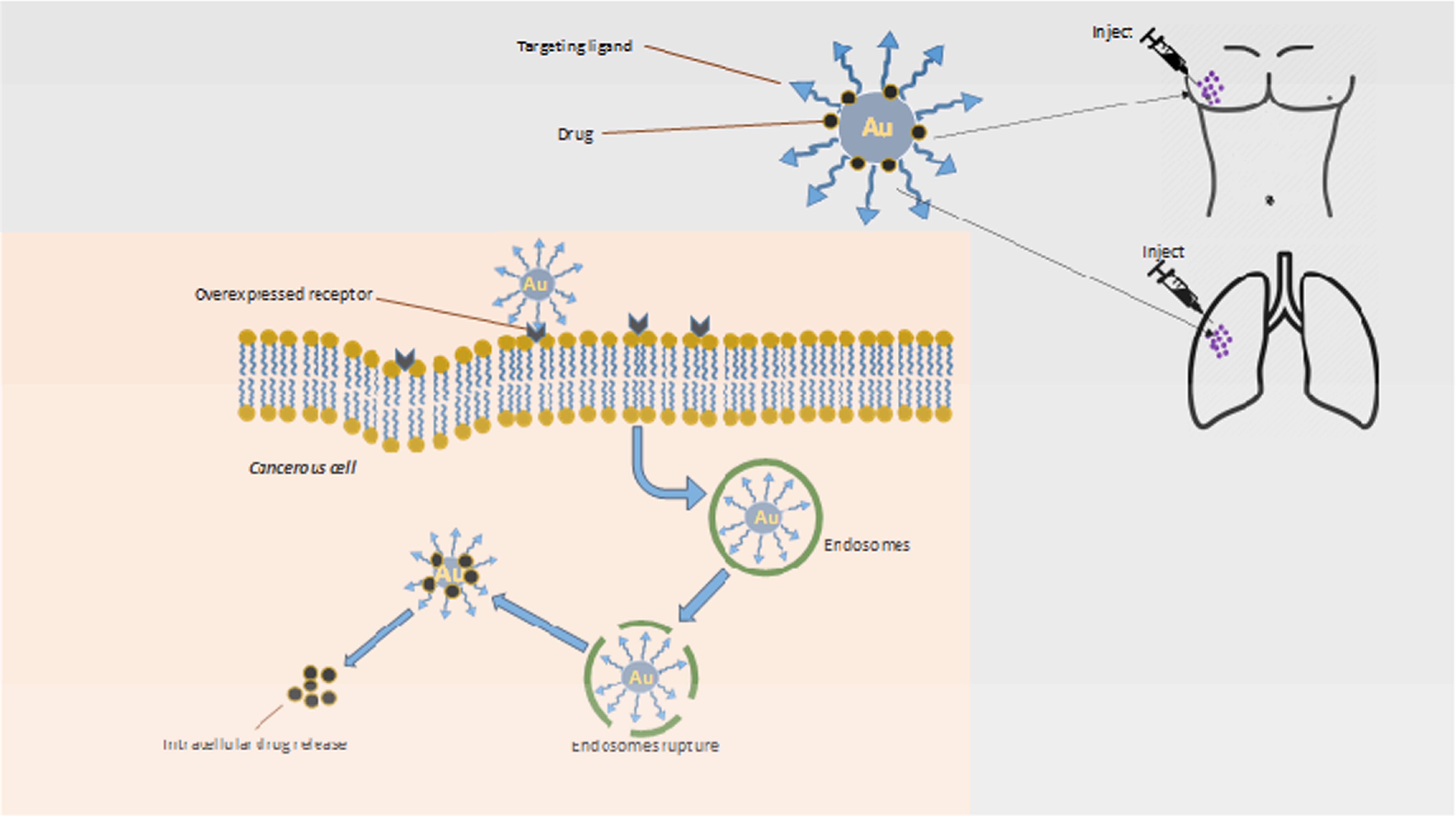 Emerging roles and mechanisms of nanoparticles in cancer treatment ...