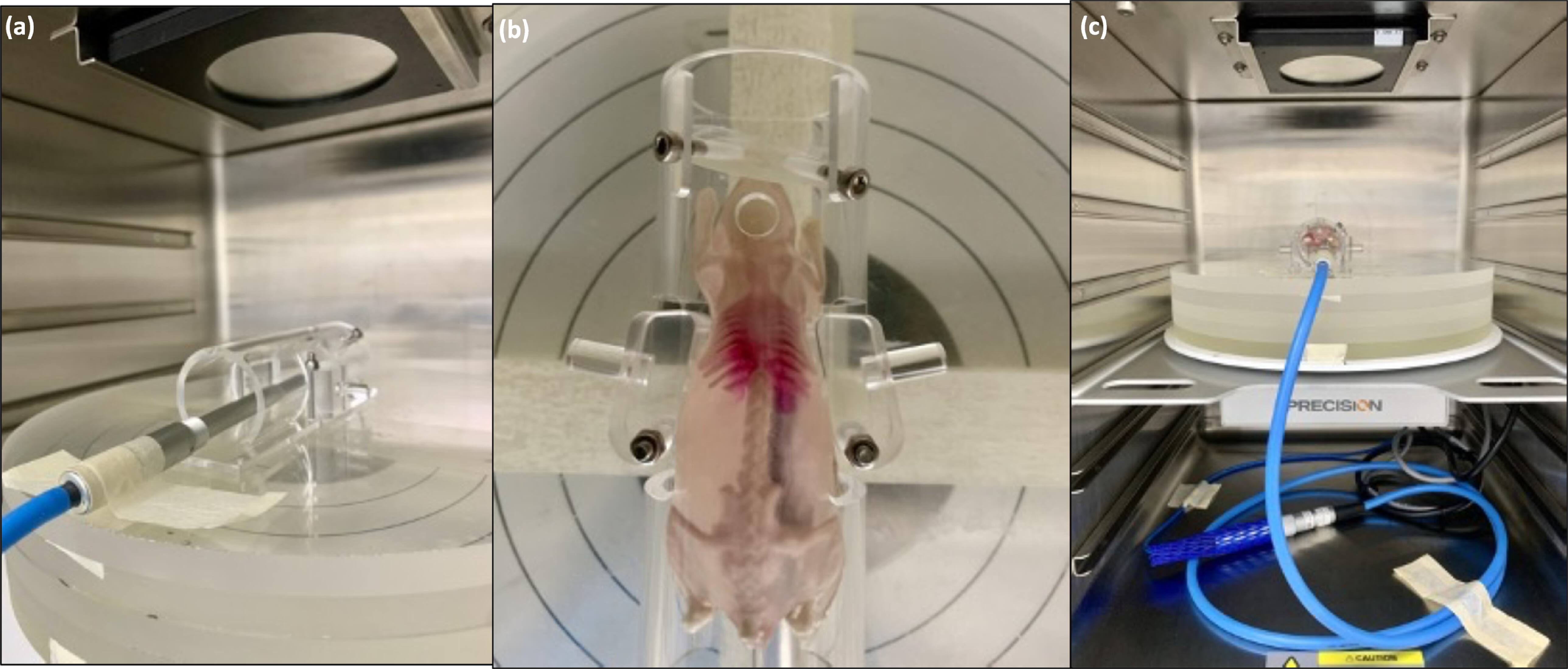 Mouse Radiotherapy Local artificial body for radiation analysis and testing (LABRAT ...