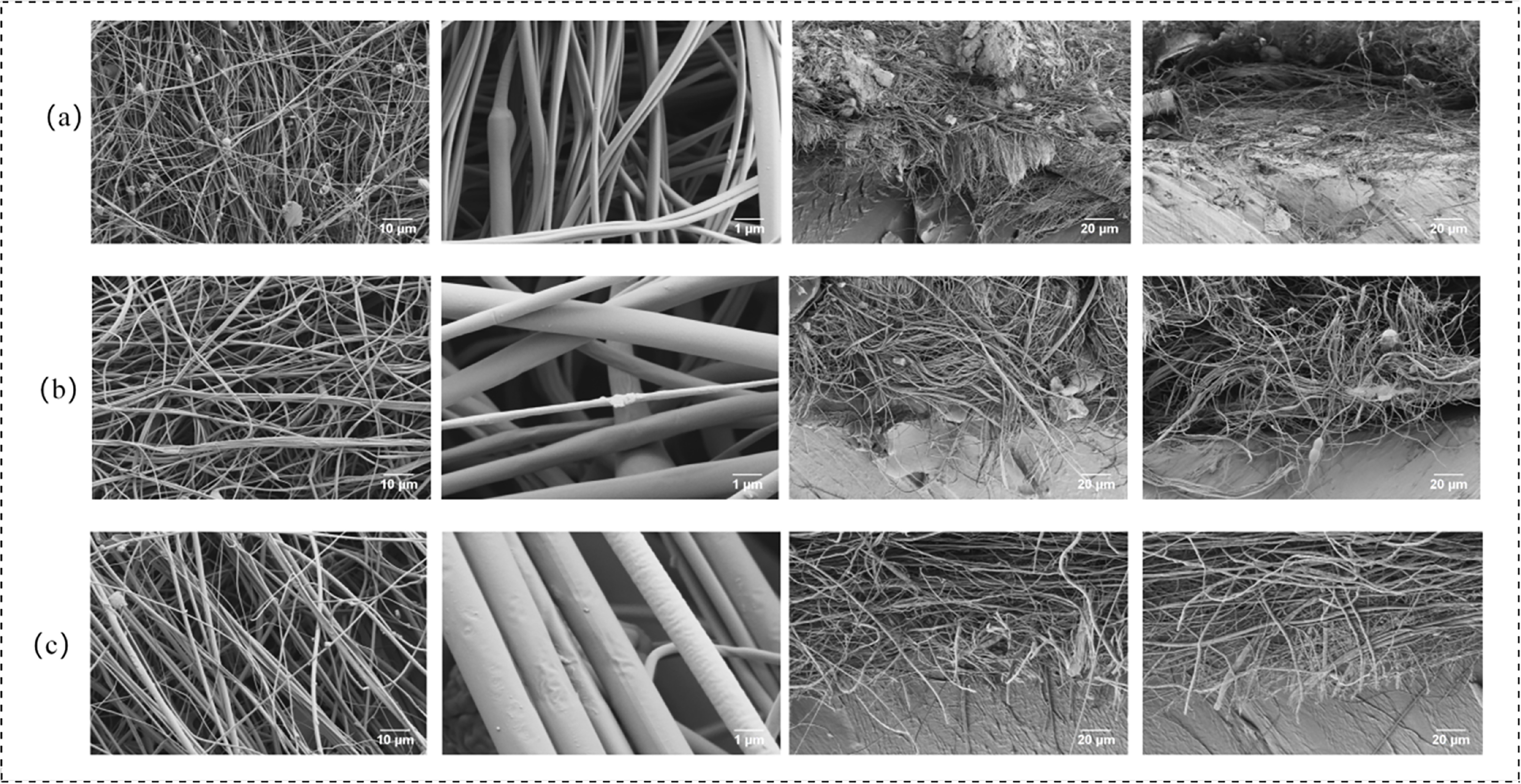 Effect on the bacterial adhesion of PVA electrospinning membrane ...