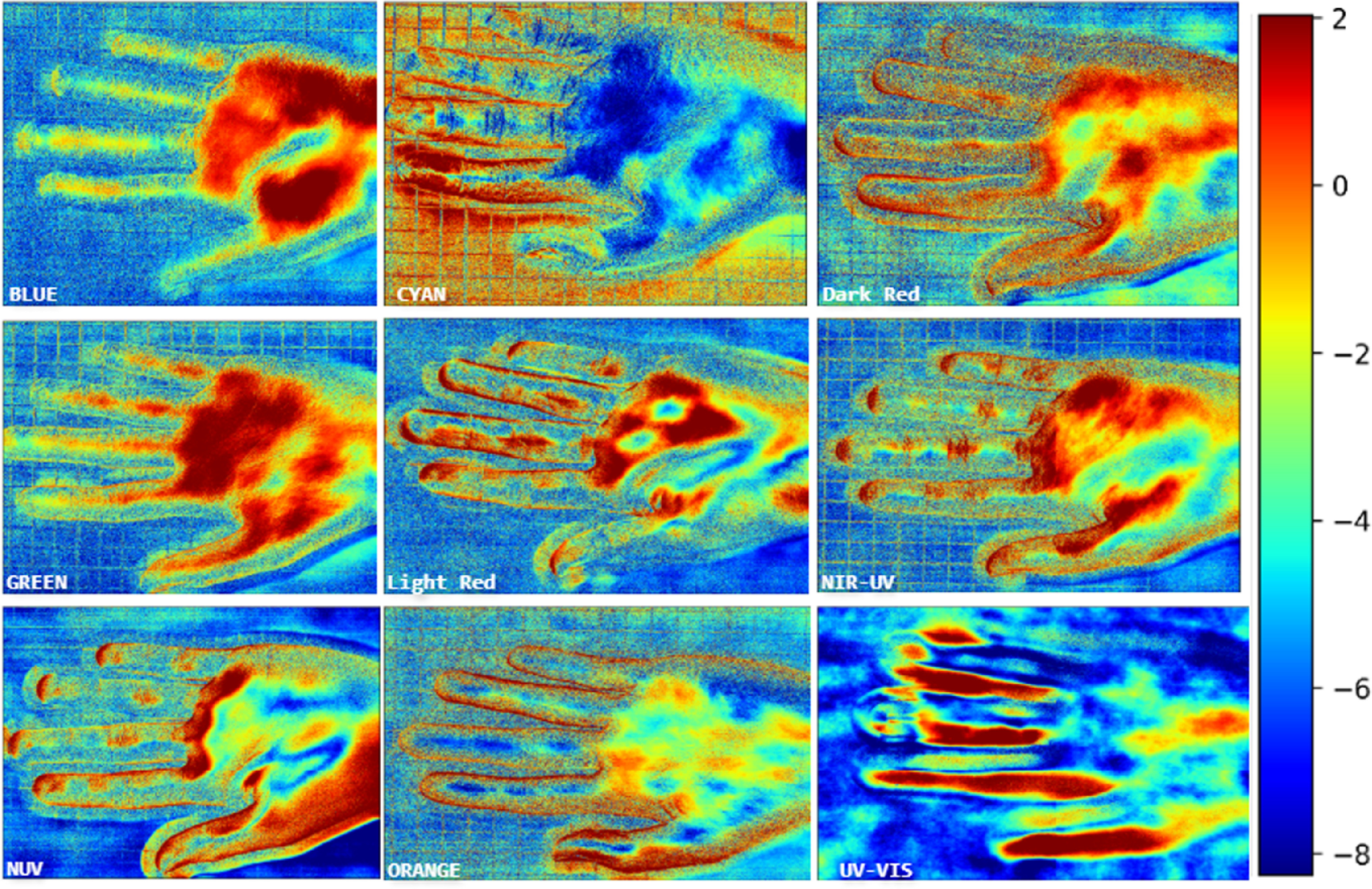 Enhanced vascular perfusion mapping and heart rate estimation via ...