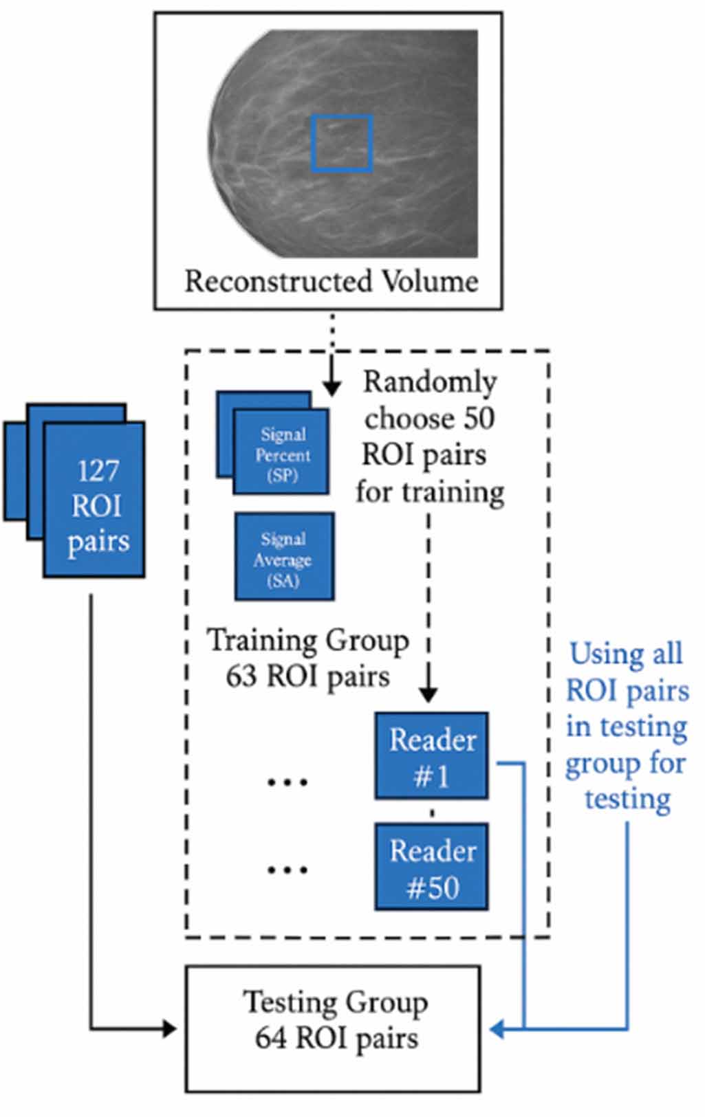Evaluating the impact of reconstruction algorithms on digital breast ...