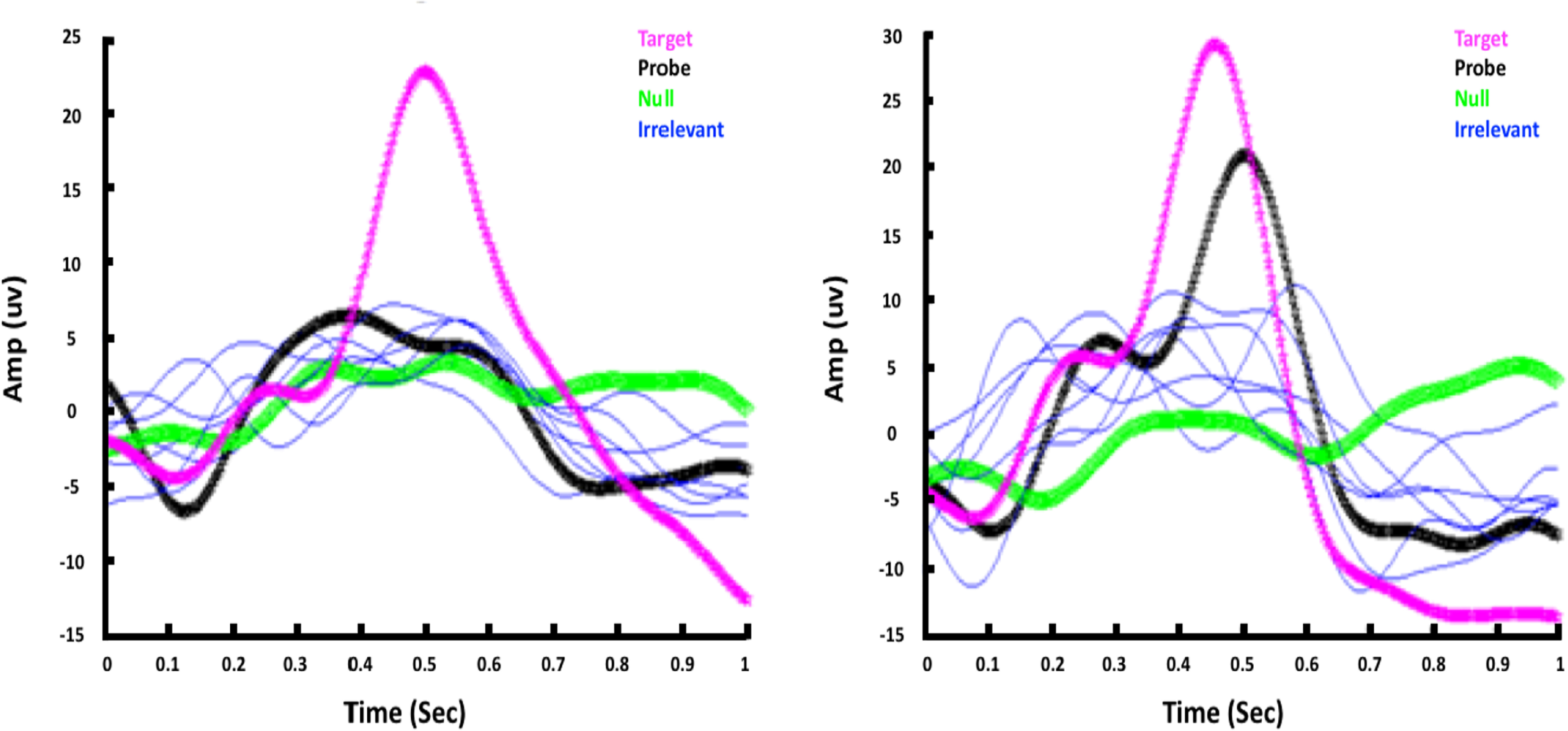 P300 Component Enhanced deception detection through integrated EEG, respiration, and ...