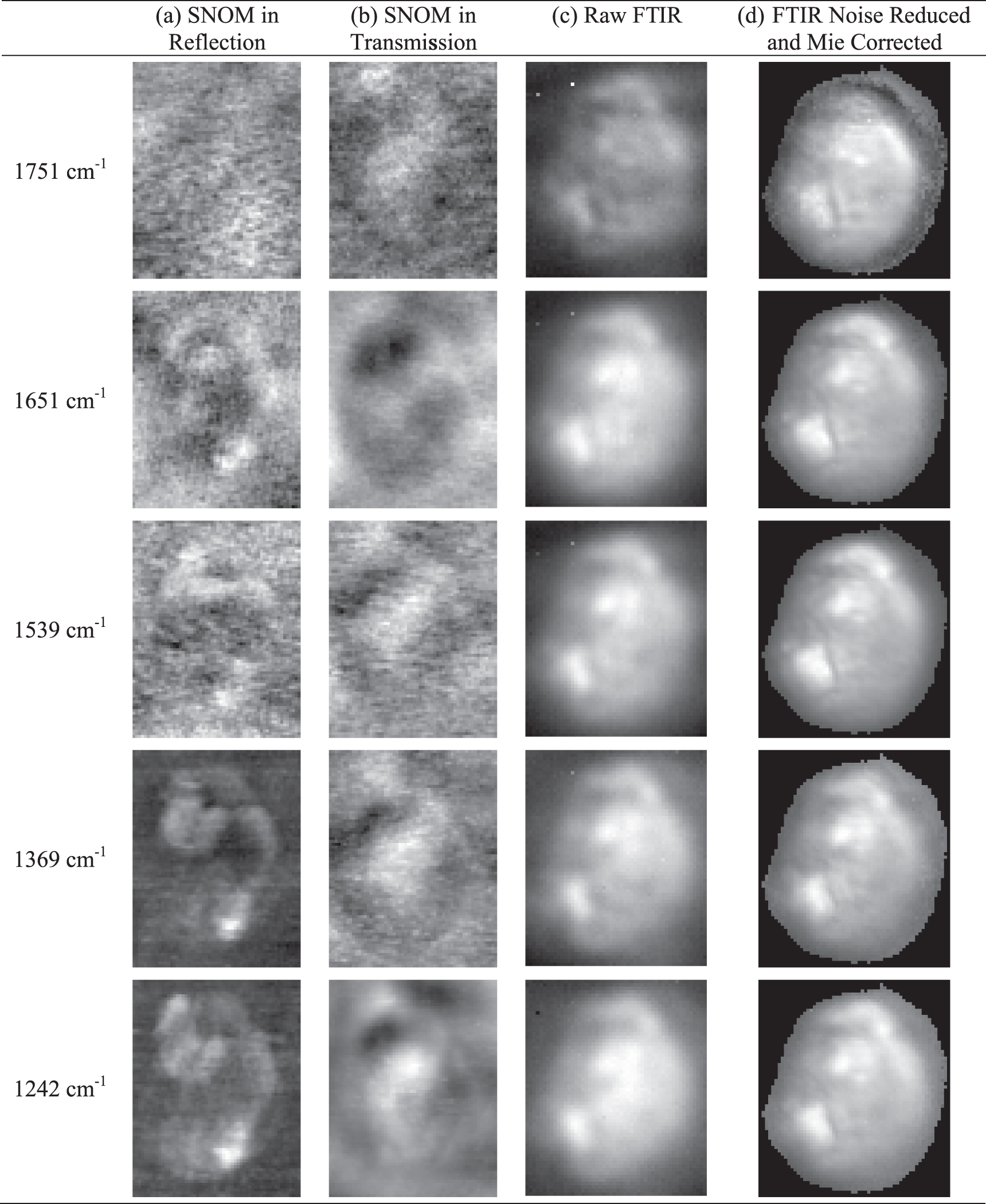 Snom Probe An evaluation of the application of the aperture infrared SNOM ...