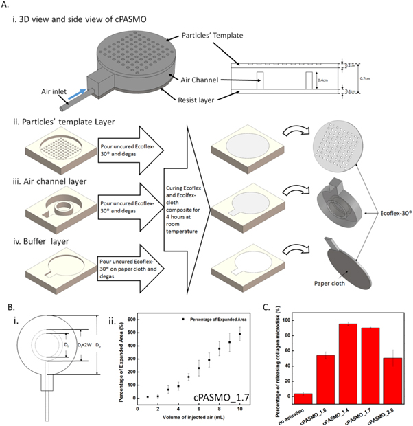 Microencapsulation of beta cells in collagen micro-disks via circular ...