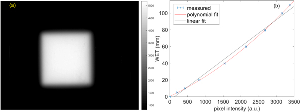 A proton imaging system using a volumetric liquid scintillator: a ...