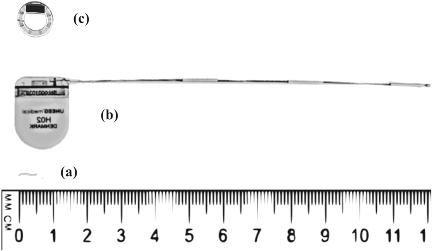 Beyond wearables and implantables: a scoping review of insertable ...