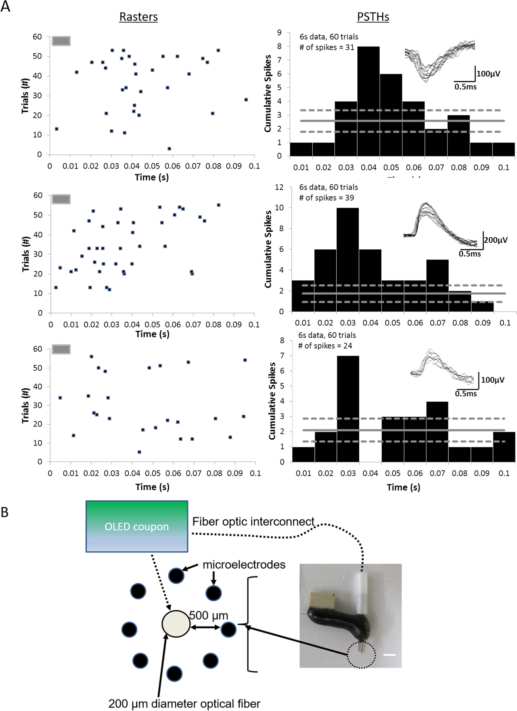 Optogenetic modulation of cortical neurons using organic light emitting ...