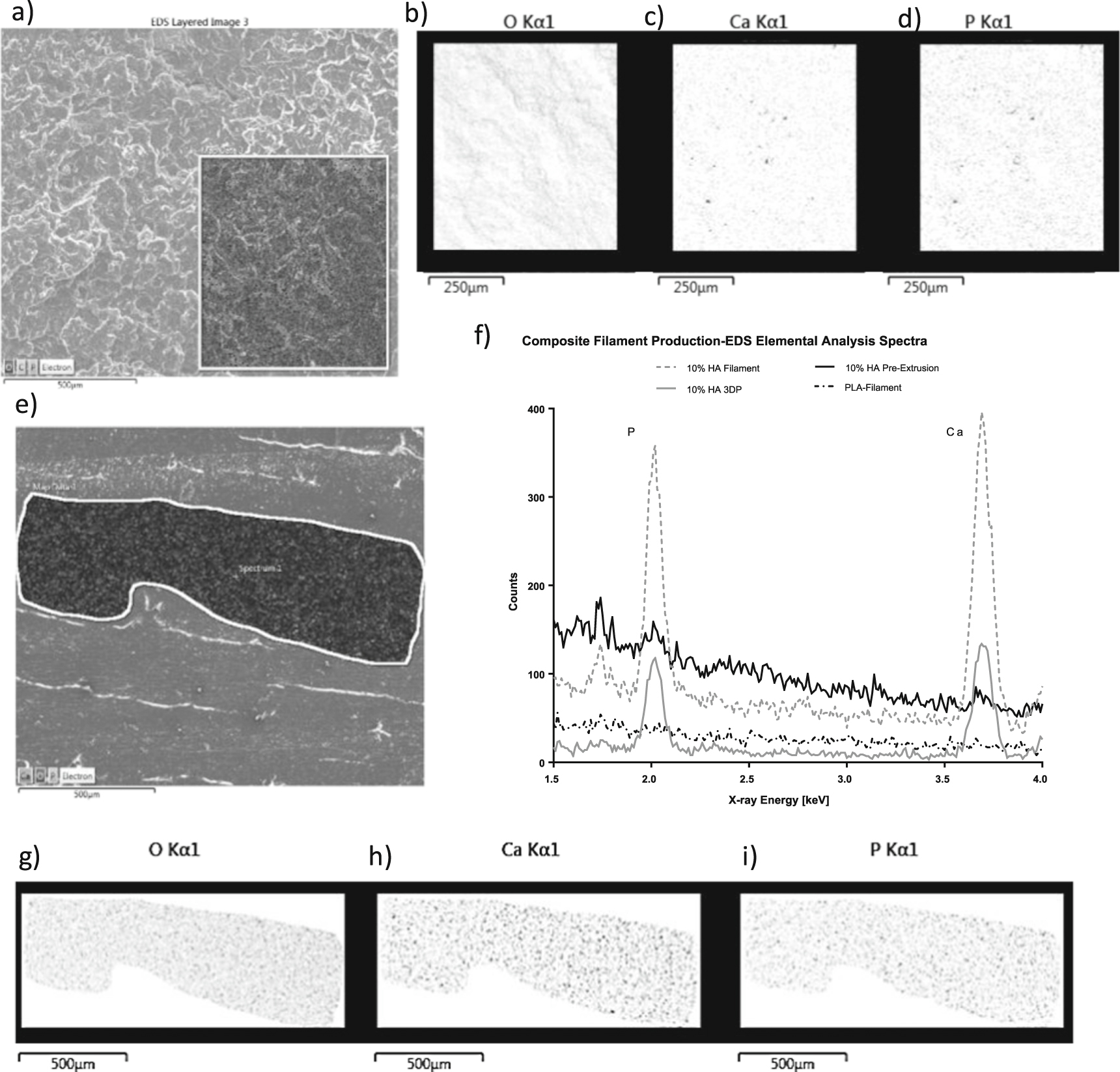Characterization of a composite polylactic acid-hydroxyapatite 3D ...