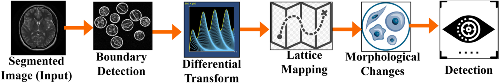 Efficient brain tumor detection and classification using magnetic ...