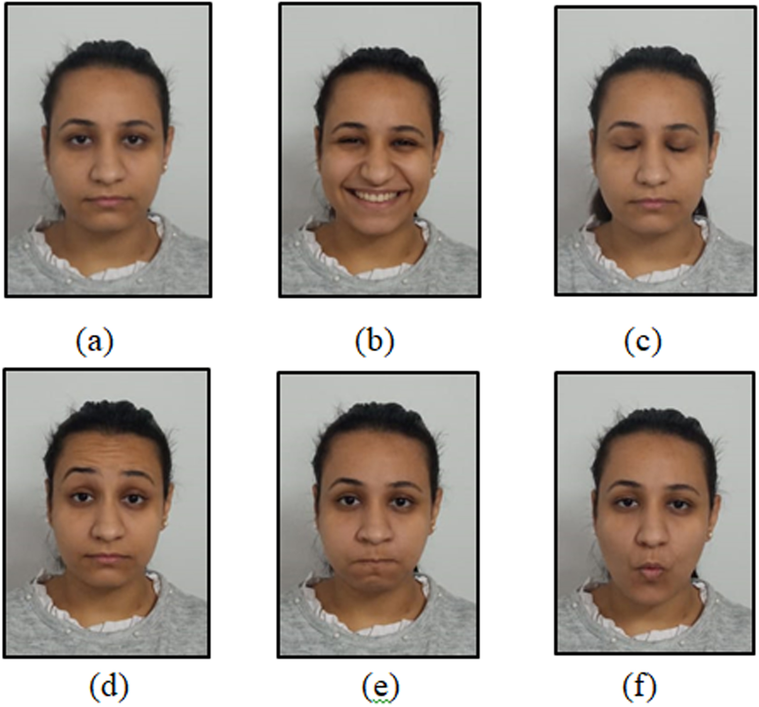 SVM classification of facial functions based on facial landmarks and ...