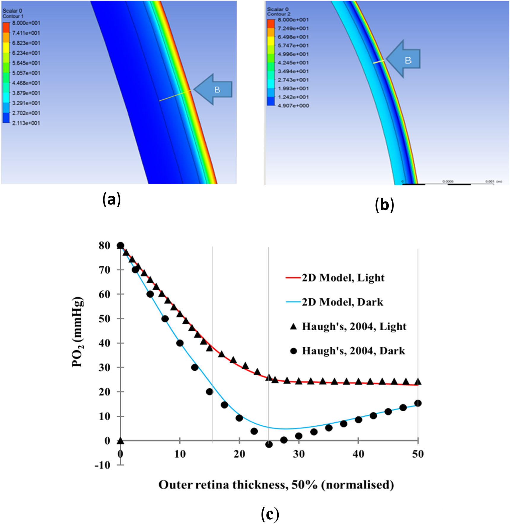 Two-dimensional mathematical modelling of retinal oxygen transport and ...