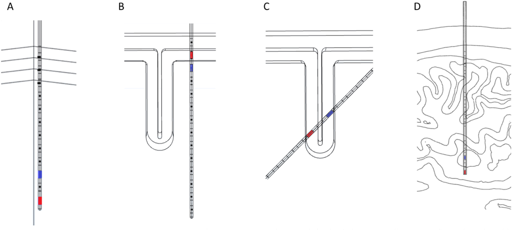 Biophysical modeling of the electric field magnitude and distribution ...