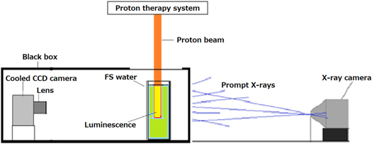 Simultaneous imaging of luminescence and prompt x-rays during ...